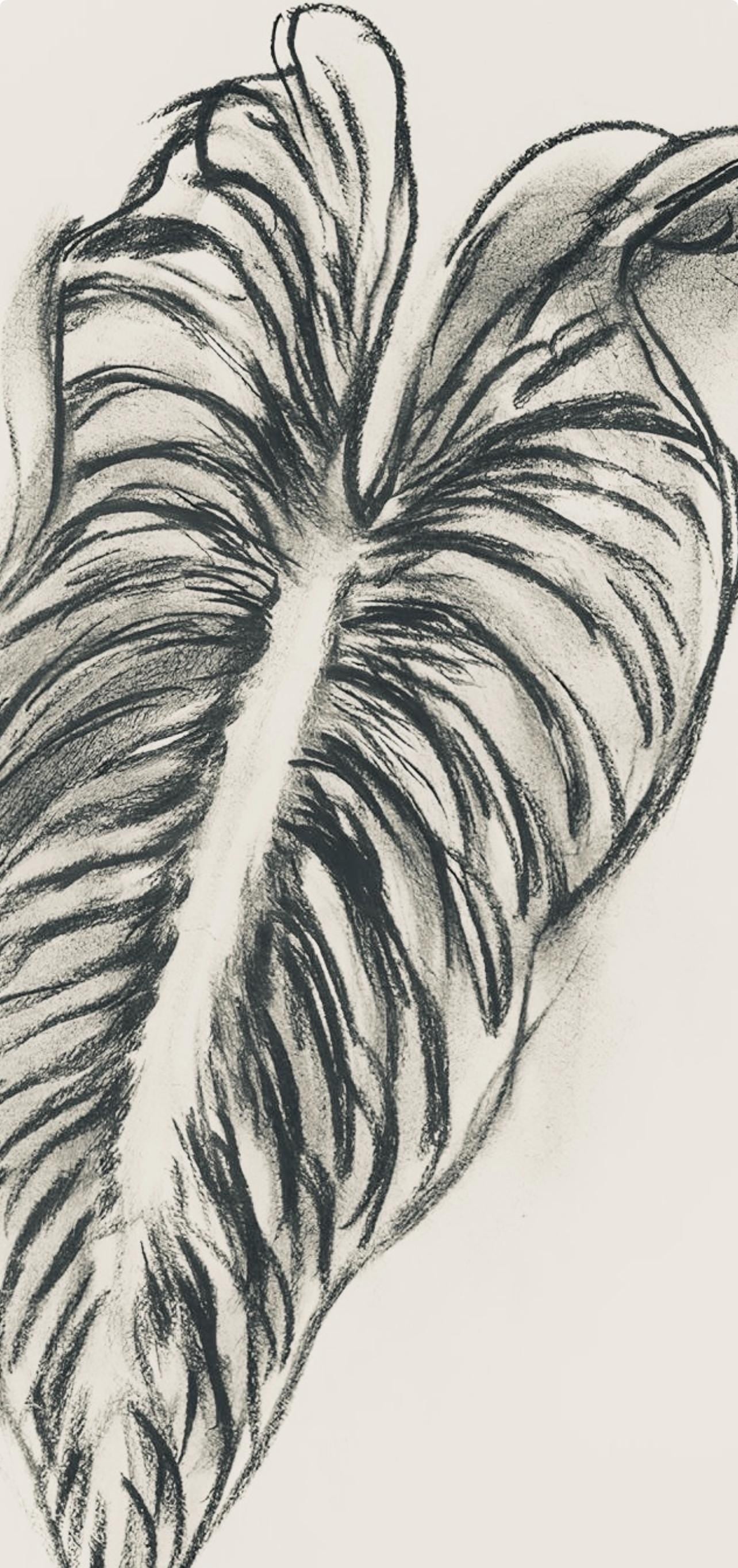 Henri Matisse, Série N Gc'S, var. 1 (Duthuit 9), Henri Matisse, Dessins, Thèmes et variations, Limited Edition Lithograph