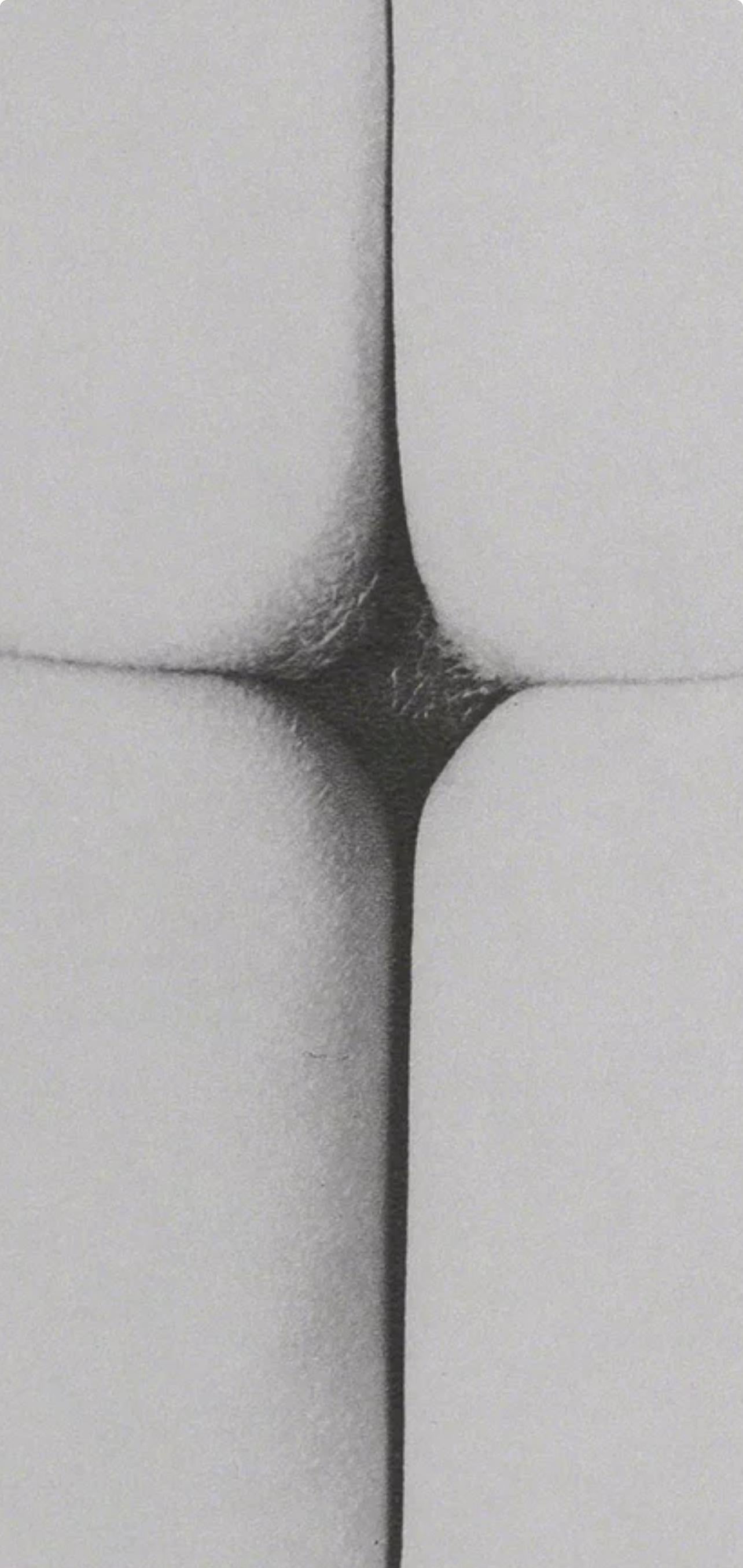 Erwin Blumenfeld, Composition, Erwin Blumenfeld, Electa Editrice Portfolios, Limited Edition Héliogravure