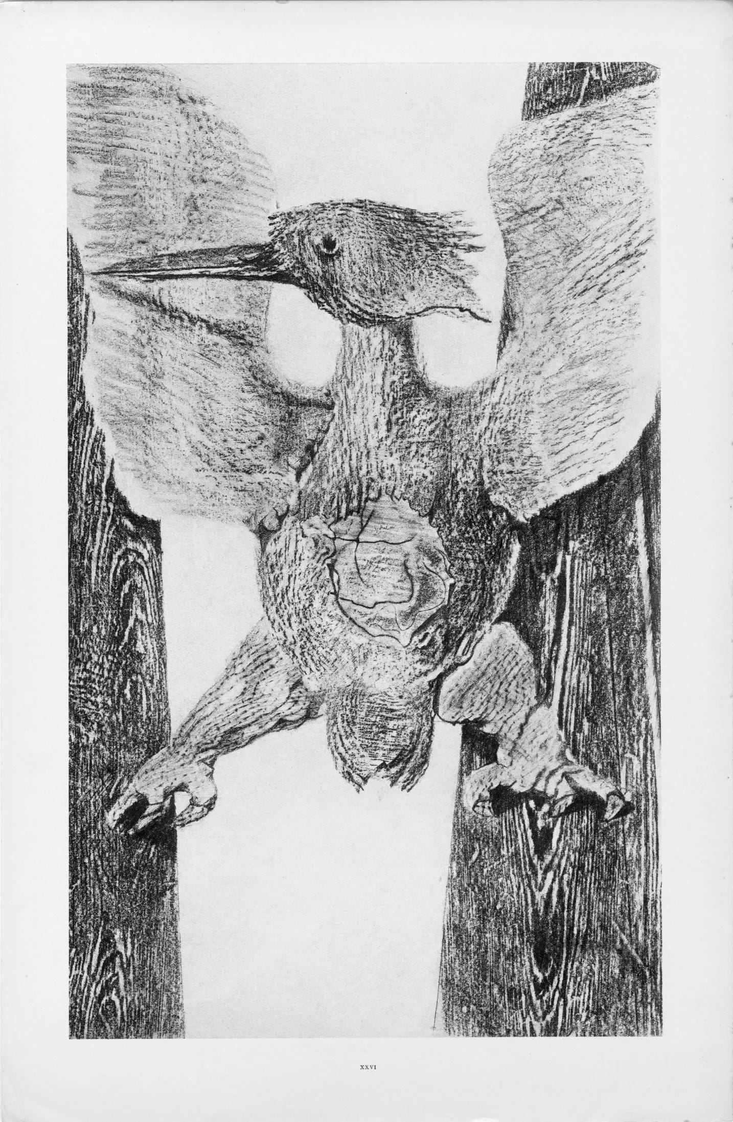 Max Ernst, Composition (Spies/Leppien 222), Histoire Naturelle, Limited Edition Lithograph