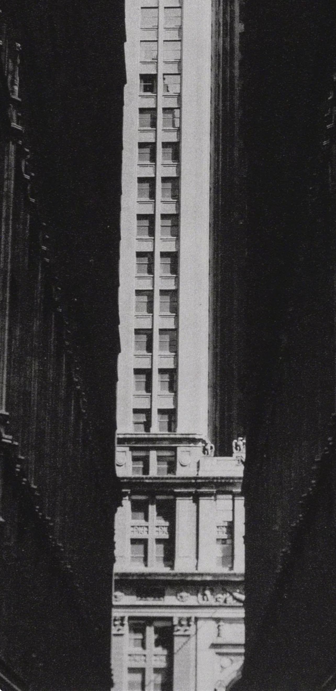 Erwin Blumenfeld, Composition, Erwin Blumenfeld, Electa Editrice Portfolios, Limited Edition Héliogravure