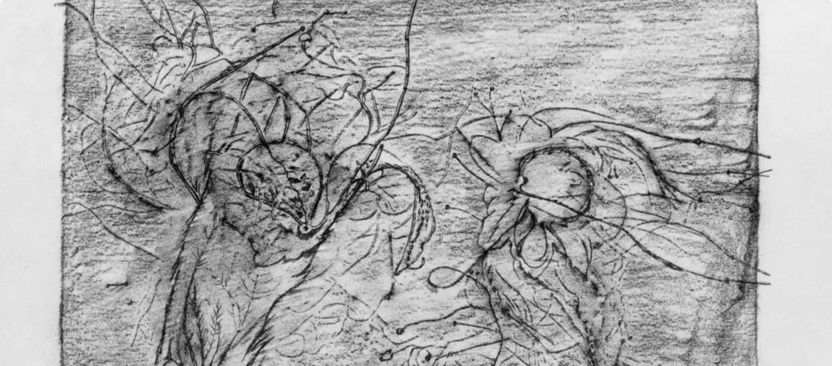 Max Ernst, Composition (Spies/Leppien 222), Histoire Naturelle, Limited Edition Lithograph