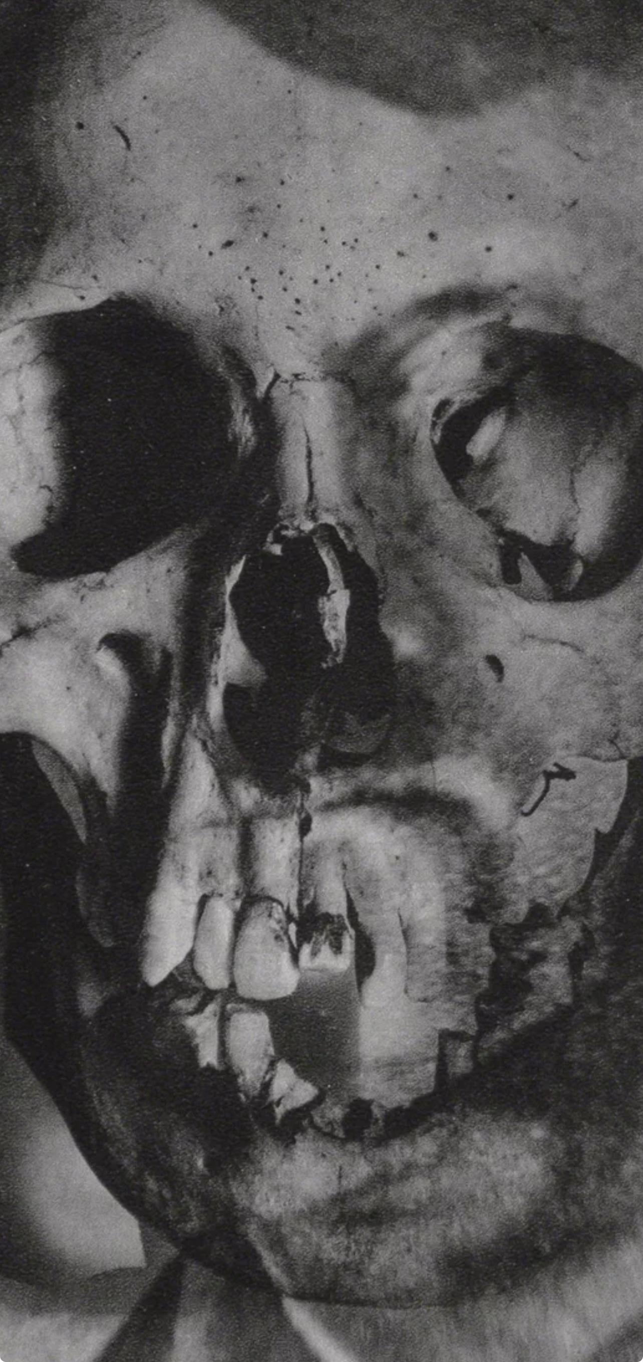 Erwin Blumenfeld, Composition, Erwin Blumenfeld, Electa Editrice Portfolios, Limited Edition Héliogravure