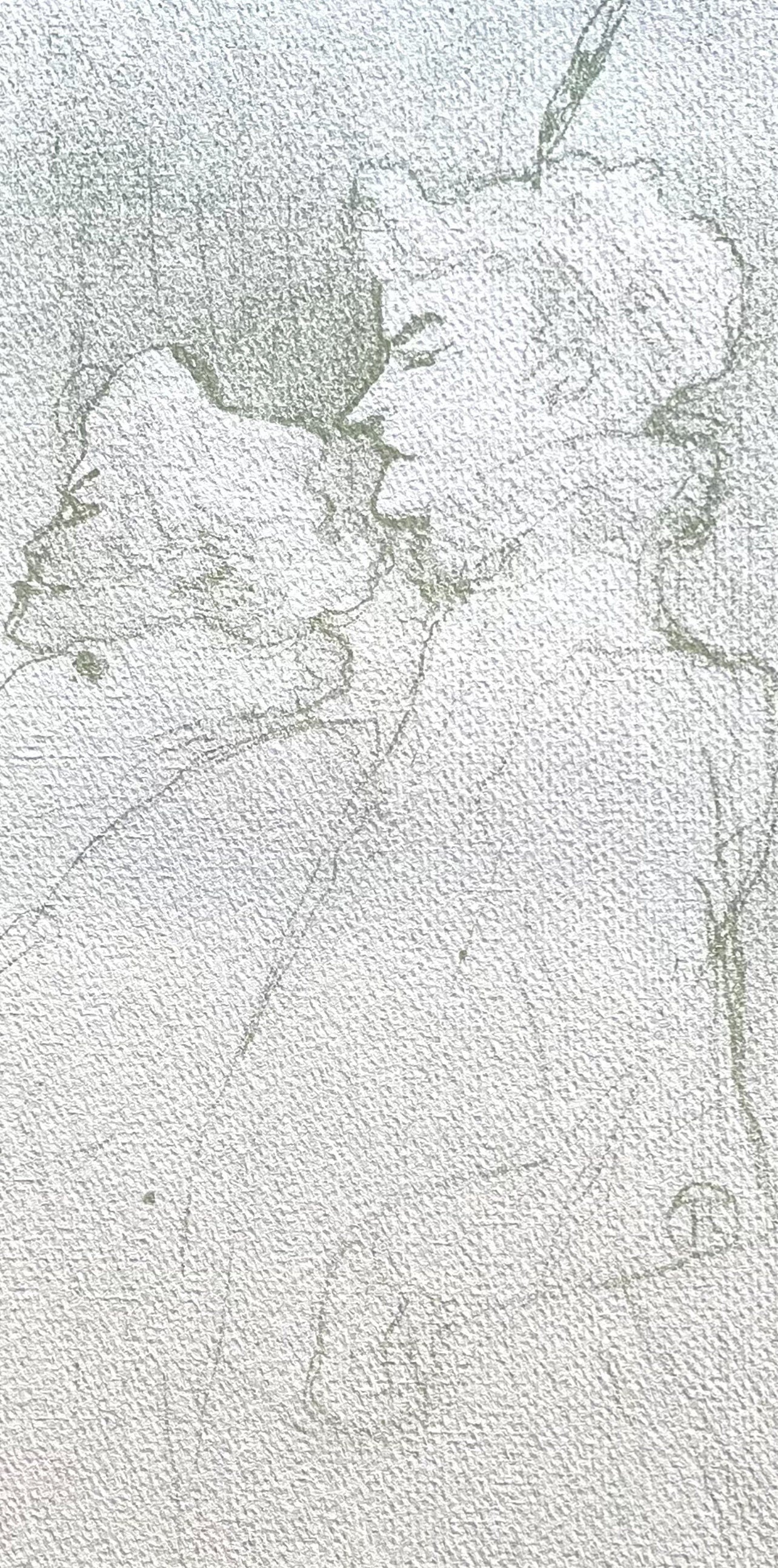 Henri de Toulouse-Lautrec, Pourquoi pas, TLautrec, Philadelphia Museum of Art, Limited Edition Lithograph