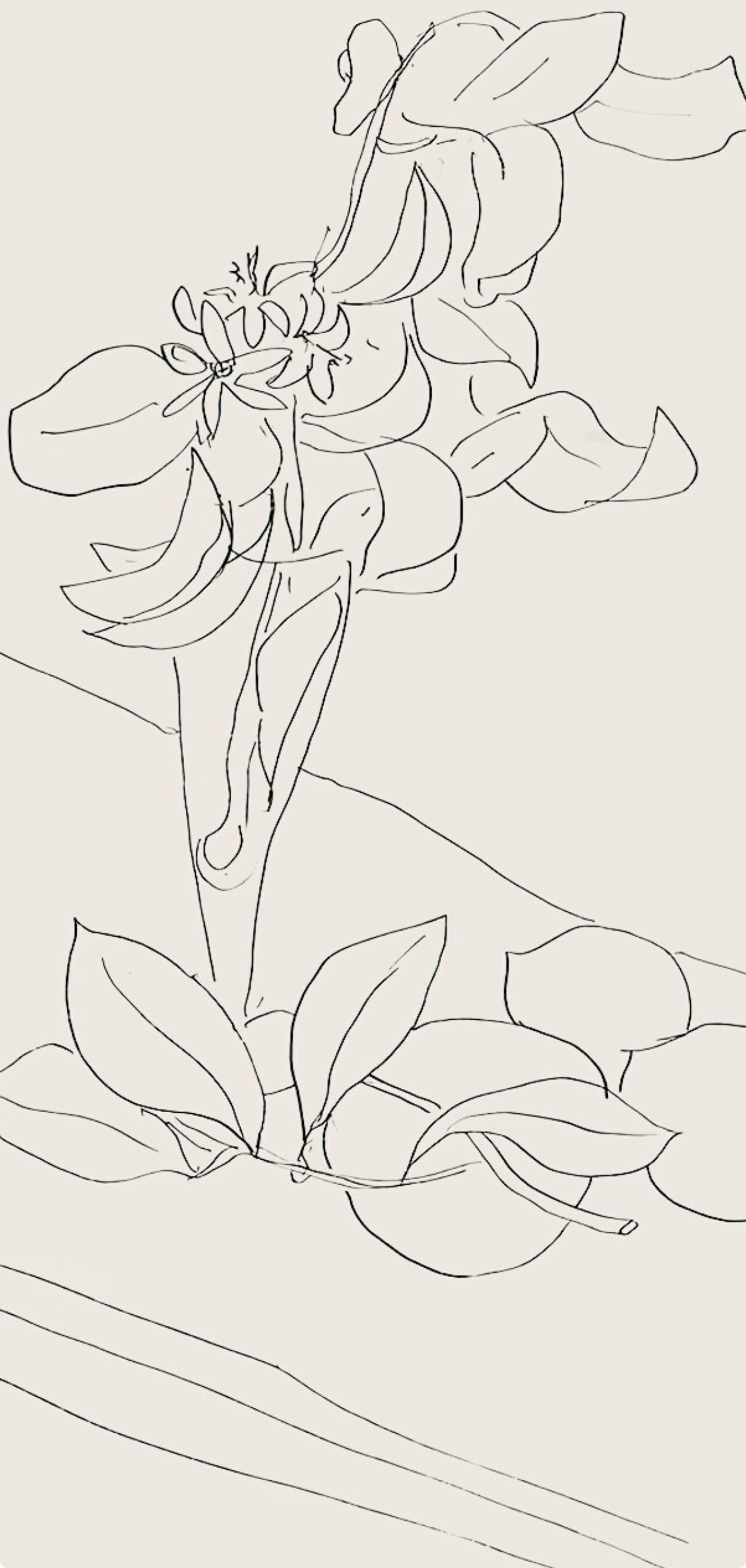 Henri Matisse, Série M, var. 2 (Duthuit 9), Henri Matisse, Dessins, Thèmes et variations, Limited Edition Lithograph