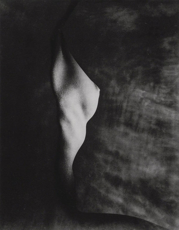 Erwin Blumenfeld, Composition, Erwin Blumenfeld, Electa Editrice Portfolios, Limited Edition Héliogravure