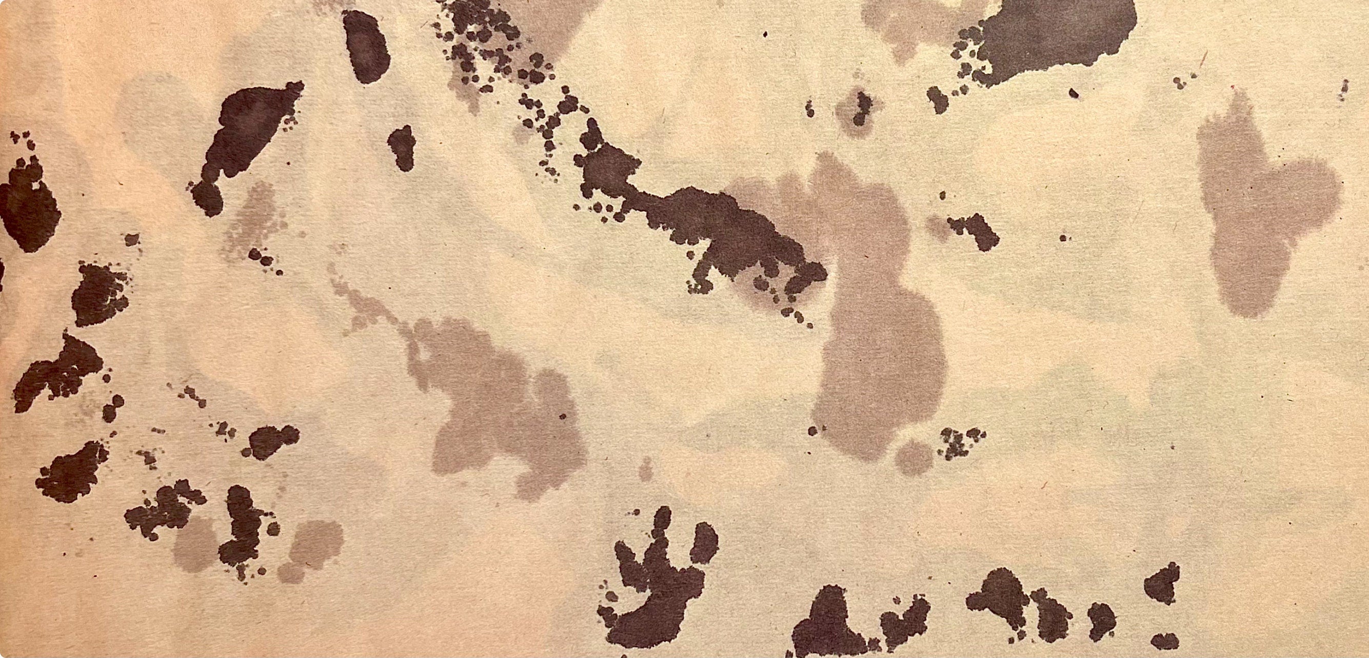 Jackson Pollock, Composition, Jackson Pollock, The Last Sketchbook, Limited Edition Lithograph