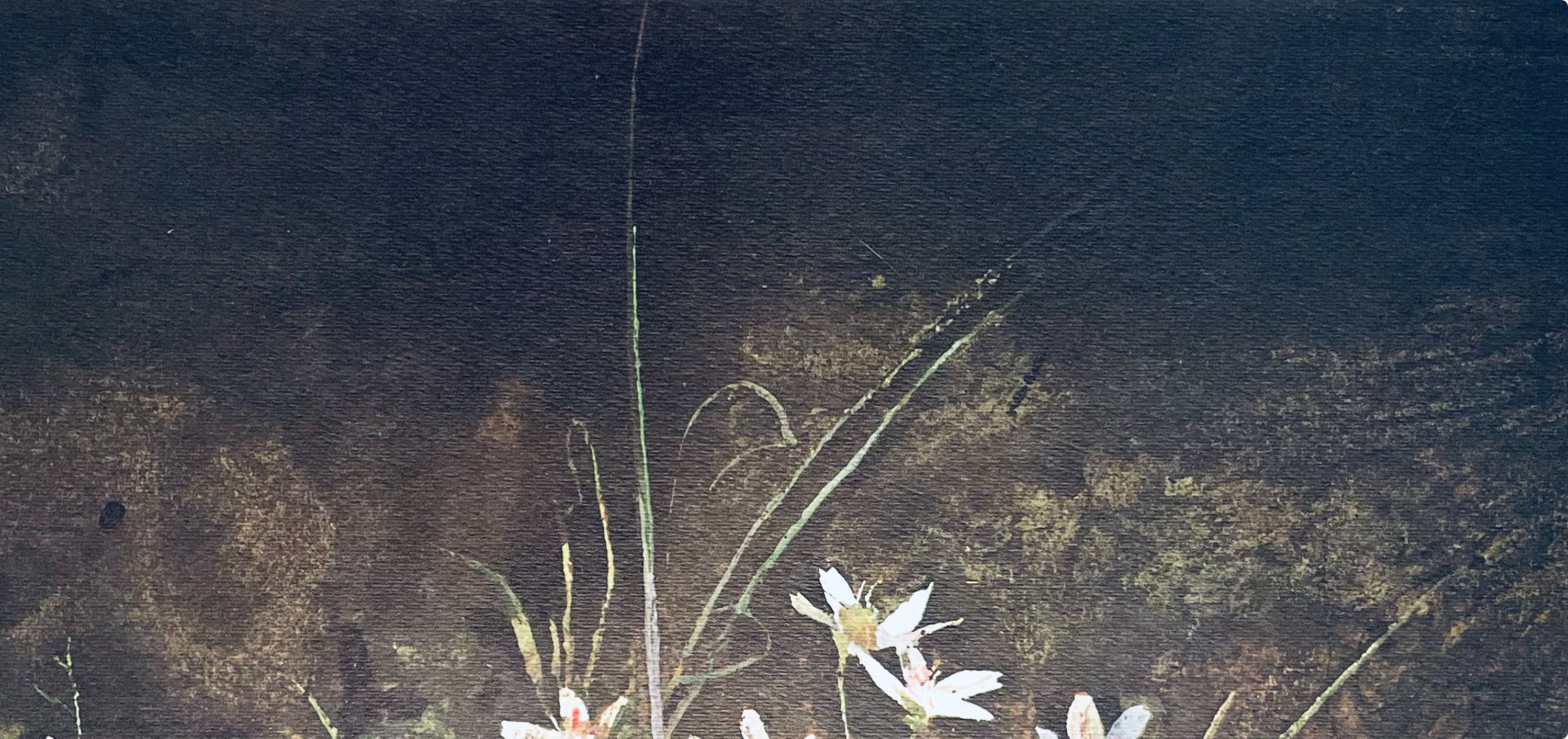 Andrew Wyeth, May Day, The Four Seasons, Limited Edition Lithograph