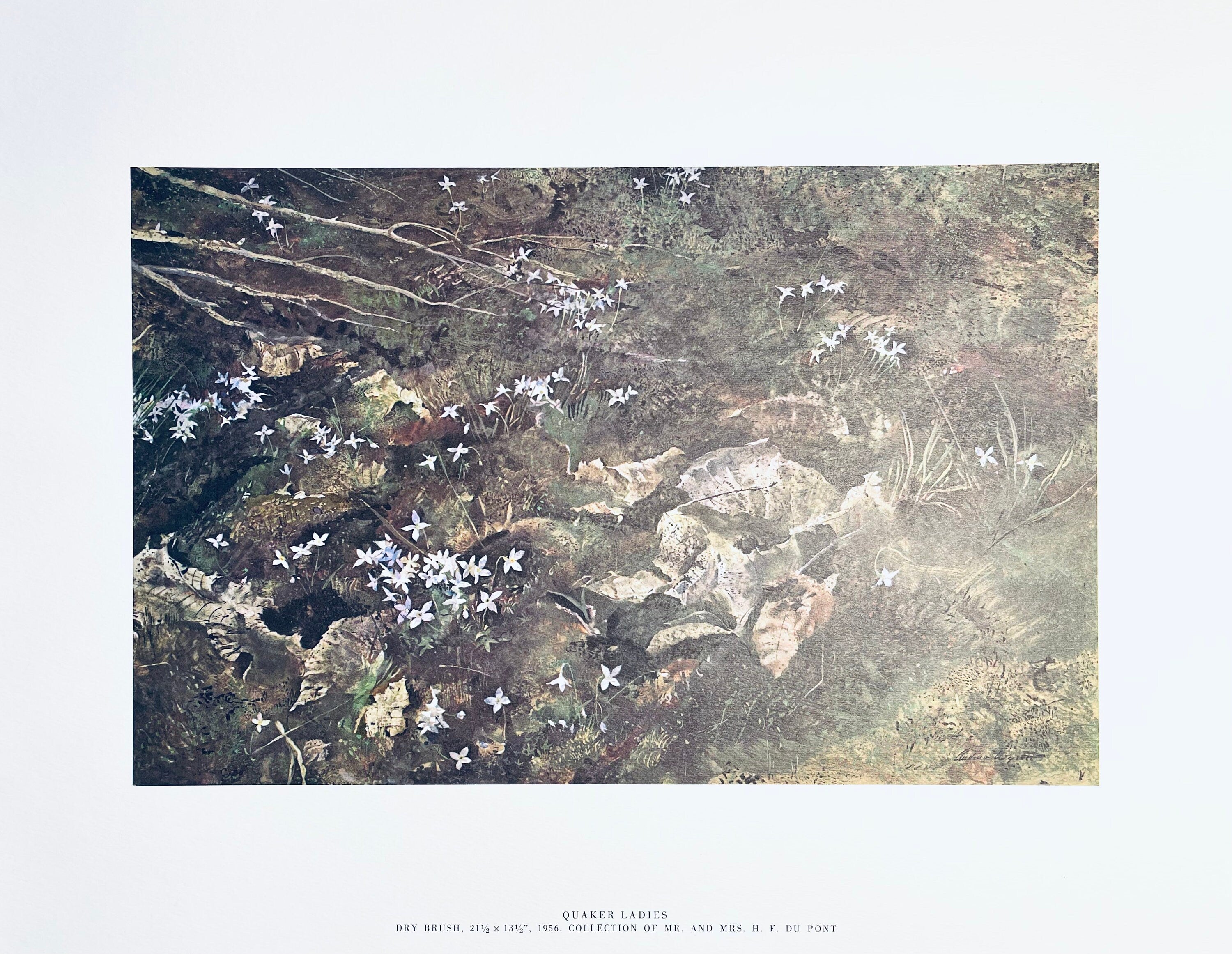 Andrew Wyeth, Quaker Ladies, The Four Seasons, Limited Edition Lithograph