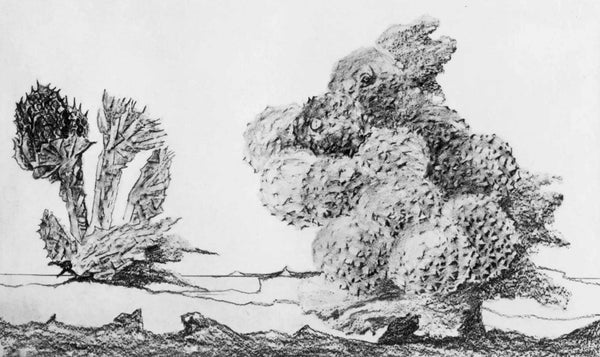 Max Ernst, Composition (Spies/Leppien 222), Histoire Naturelle, Limited Edition Lithograph