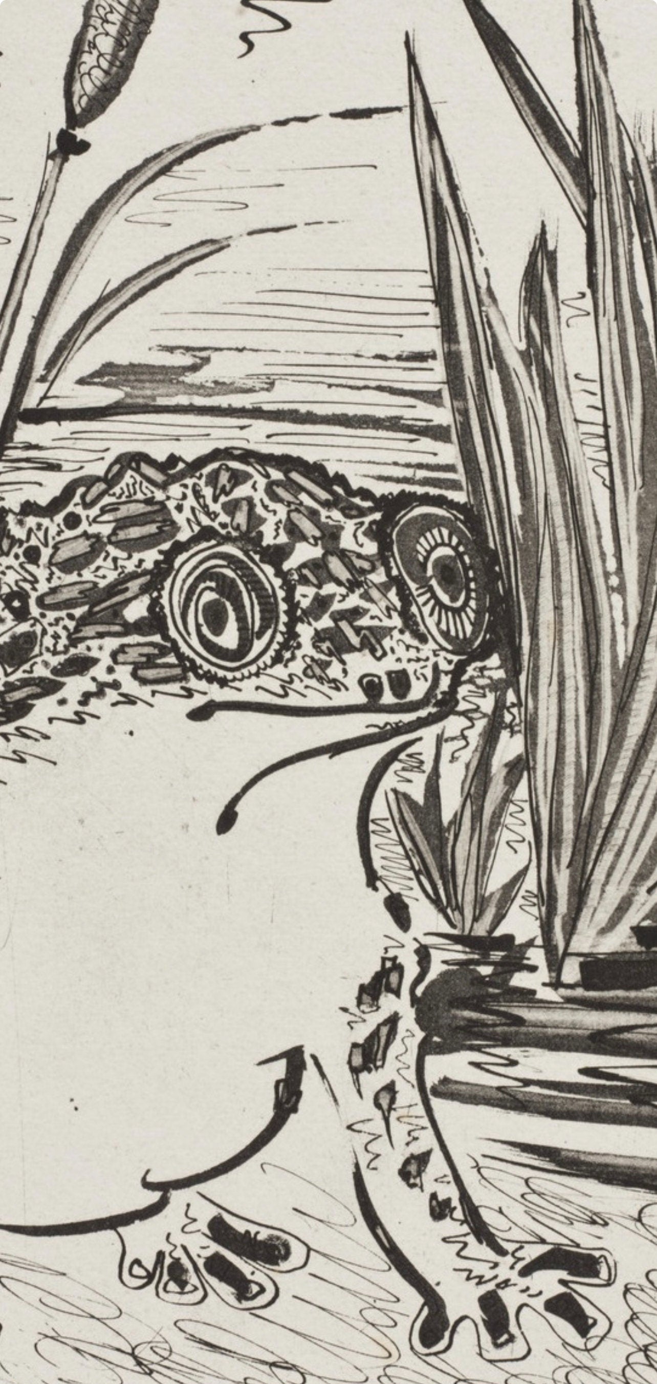 Pablo Picasso, Le Crapaud, Histoire naturelle, Limited Edition Lithograph