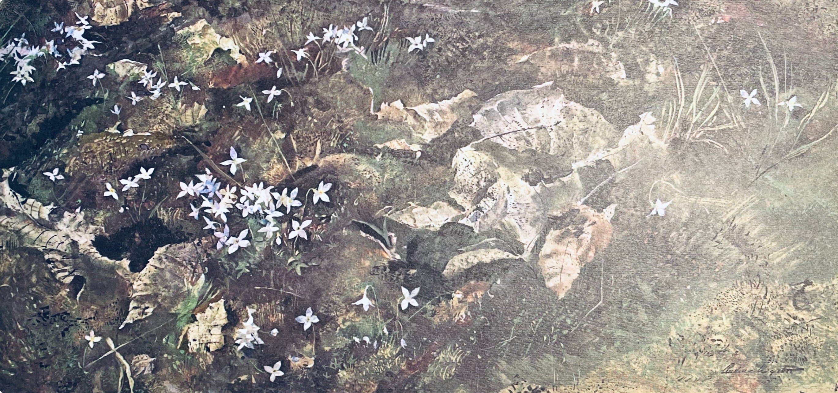 Andrew Wyeth, Quaker Ladies, The Four Seasons, Limited Edition Lithograph