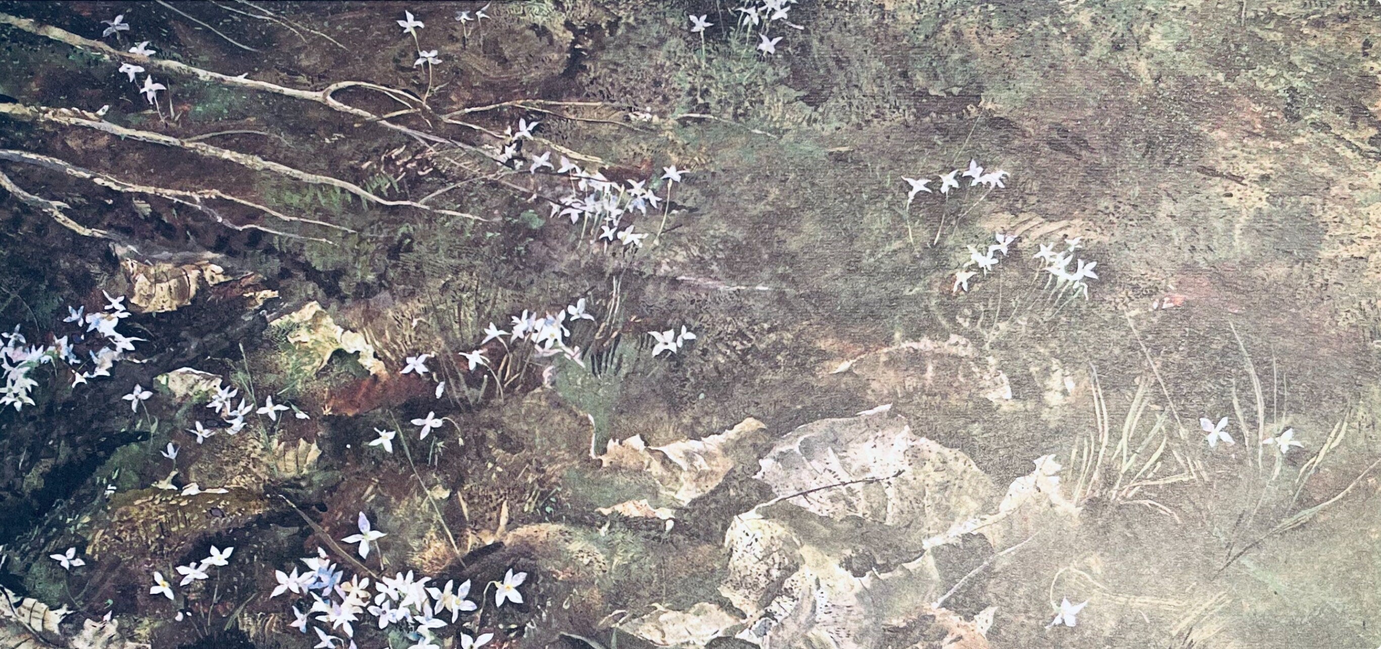 Andrew Wyeth, Quaker Ladies, The Four Seasons, Limited Edition Lithograph
