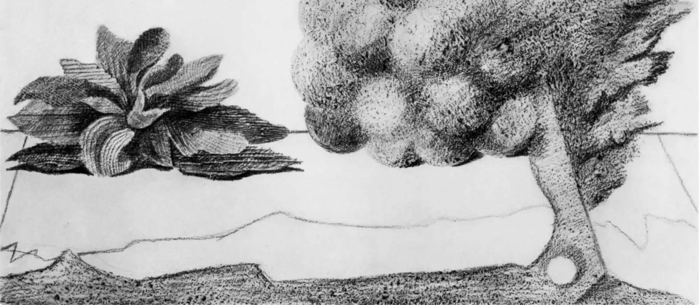 Max Ernst, Composition (Spies/Leppien 222), Histoire Naturelle, Limited Edition Lithograph