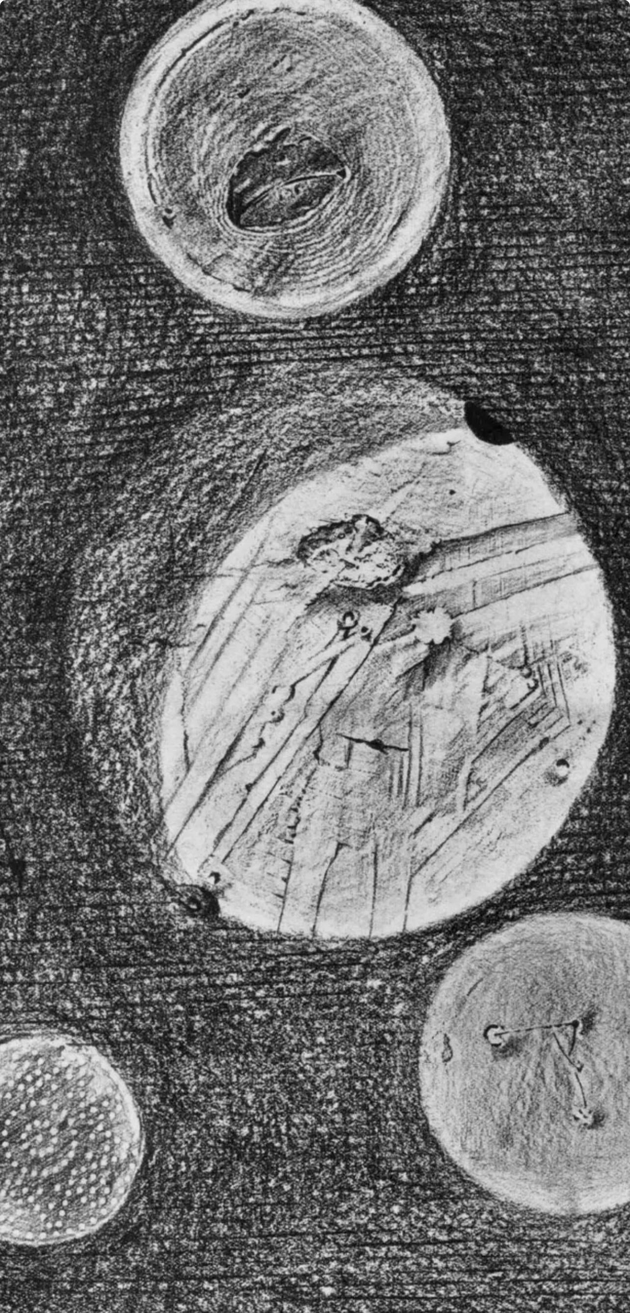 Max Ernst, Composition (Spies/Leppien 222), Histoire Naturelle, Limited Edition Lithograph