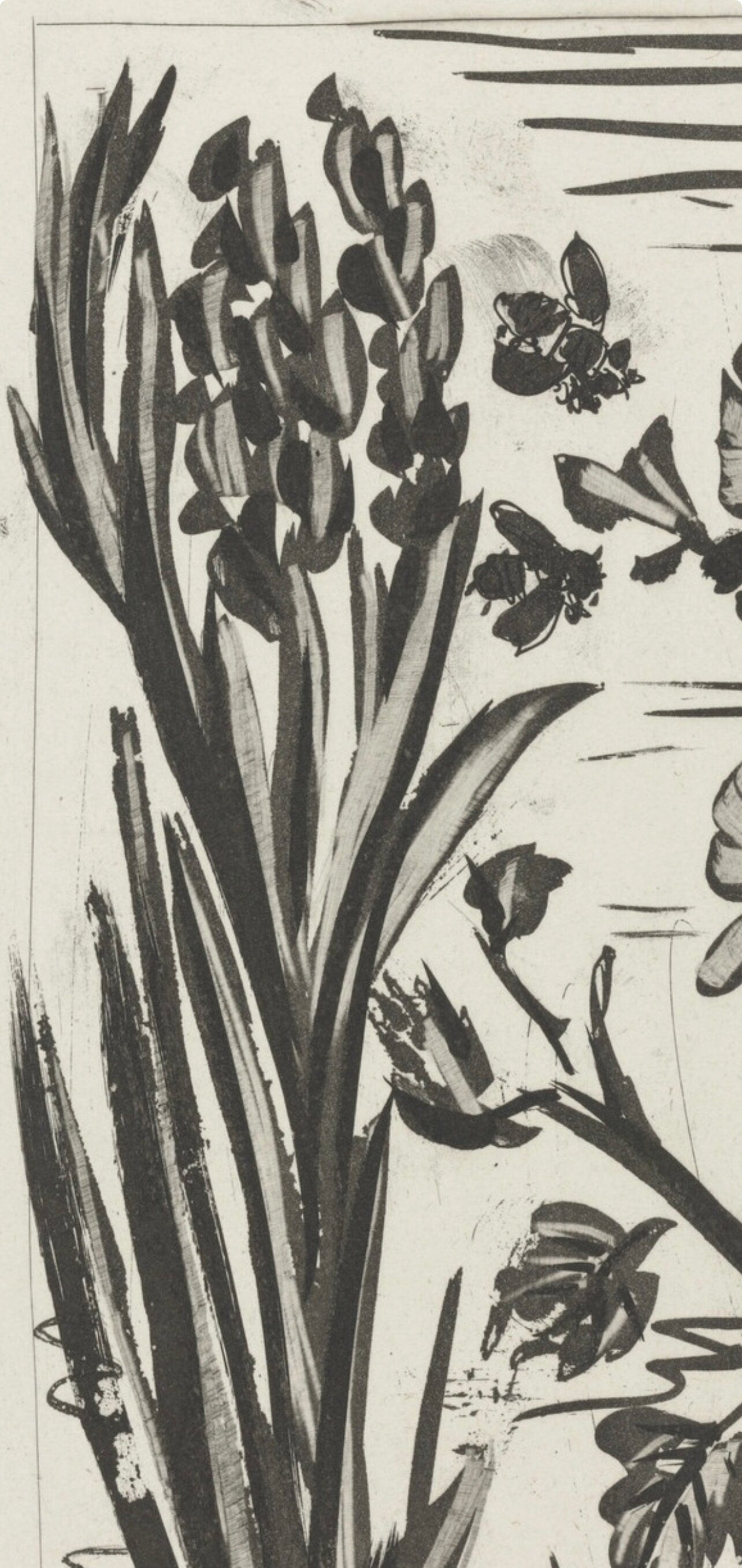 Pablo Picasso, L'Abeille, Histoire naturelle, Limited Edition Lithograph
