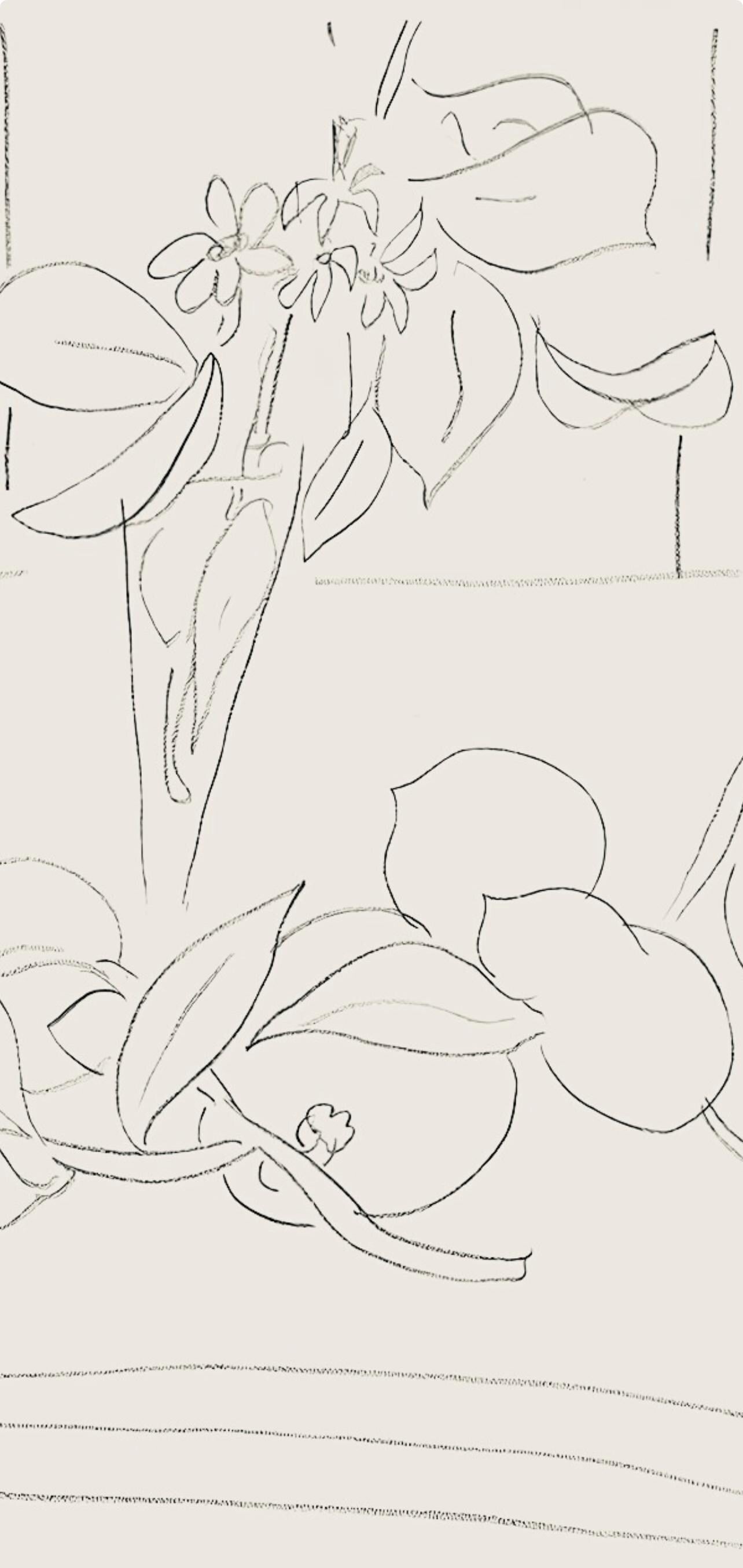 Henri Matisse, Série M, var. 7 (Duthuit 9), Henri Matisse, Dessins, Thèmes et variations, Limited Edition Lithograph