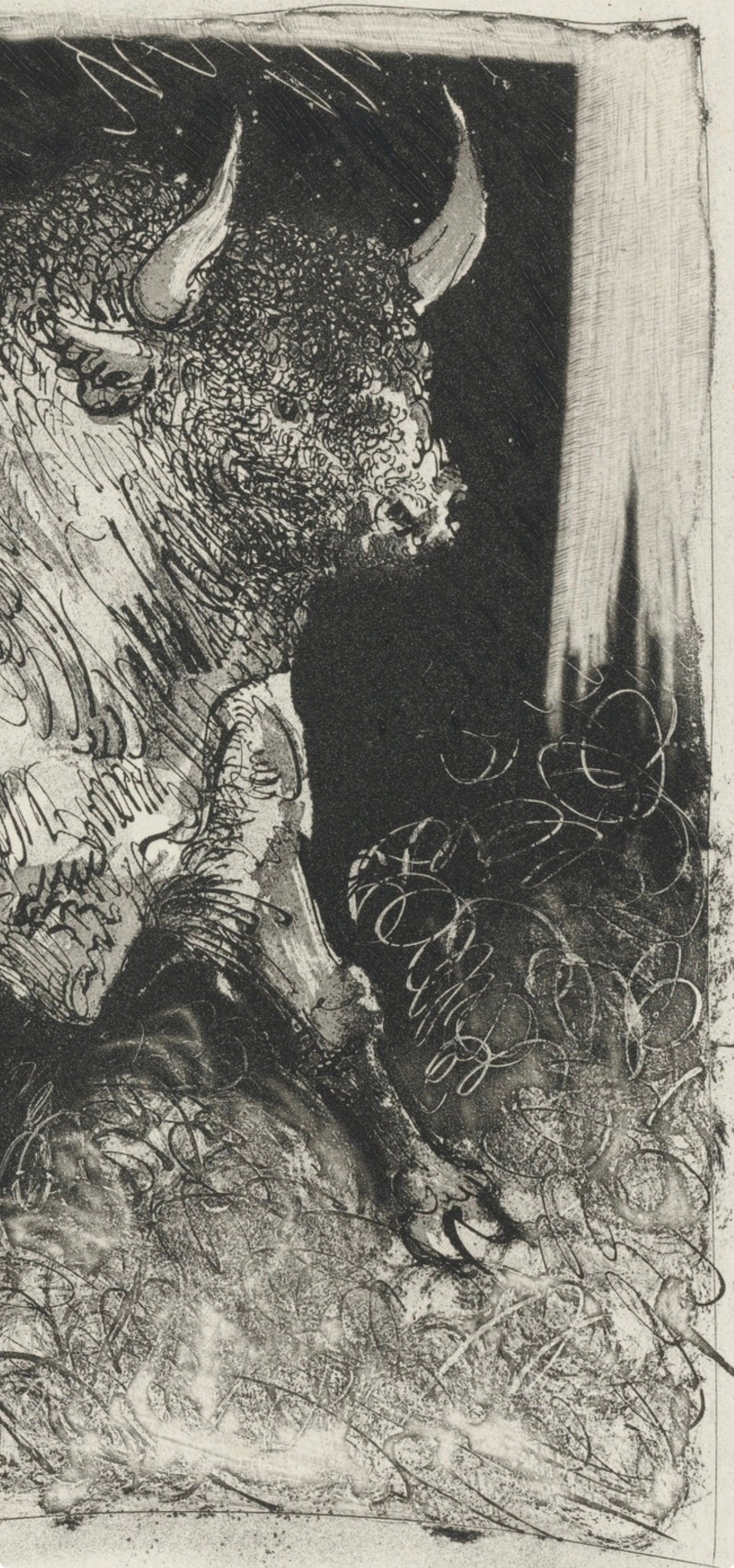 Pablo Picasso, Le Taureau, Histoire naturelle, Limited Edition Lithograph
