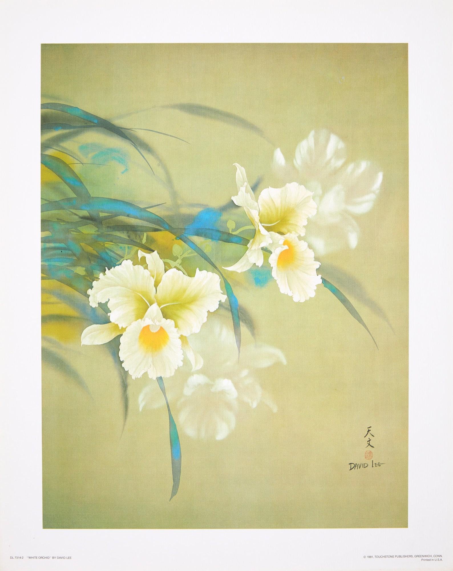 David Lee, White Orchid, Original Edition Offset Lithograph