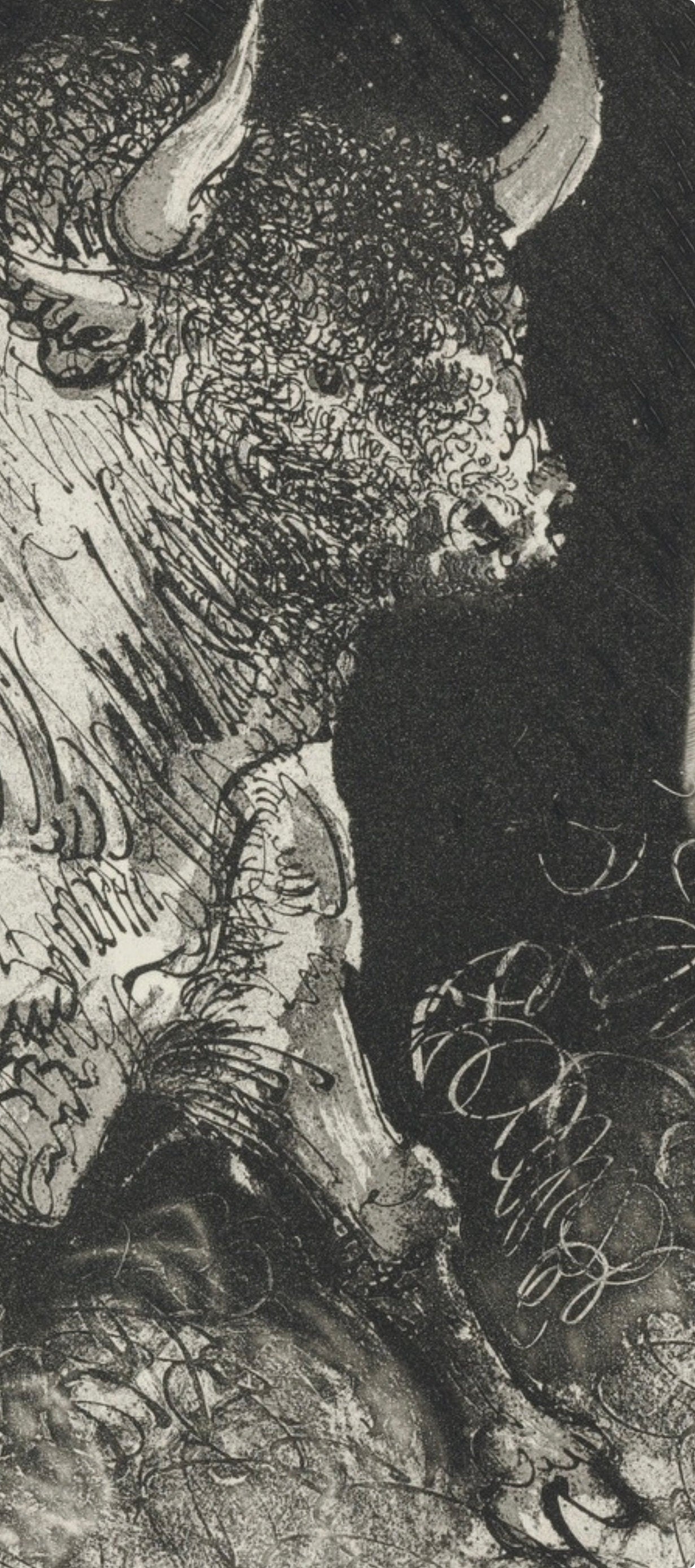 Pablo Picasso, Le Taureau, Histoire naturelle, Limited Edition Lithograph