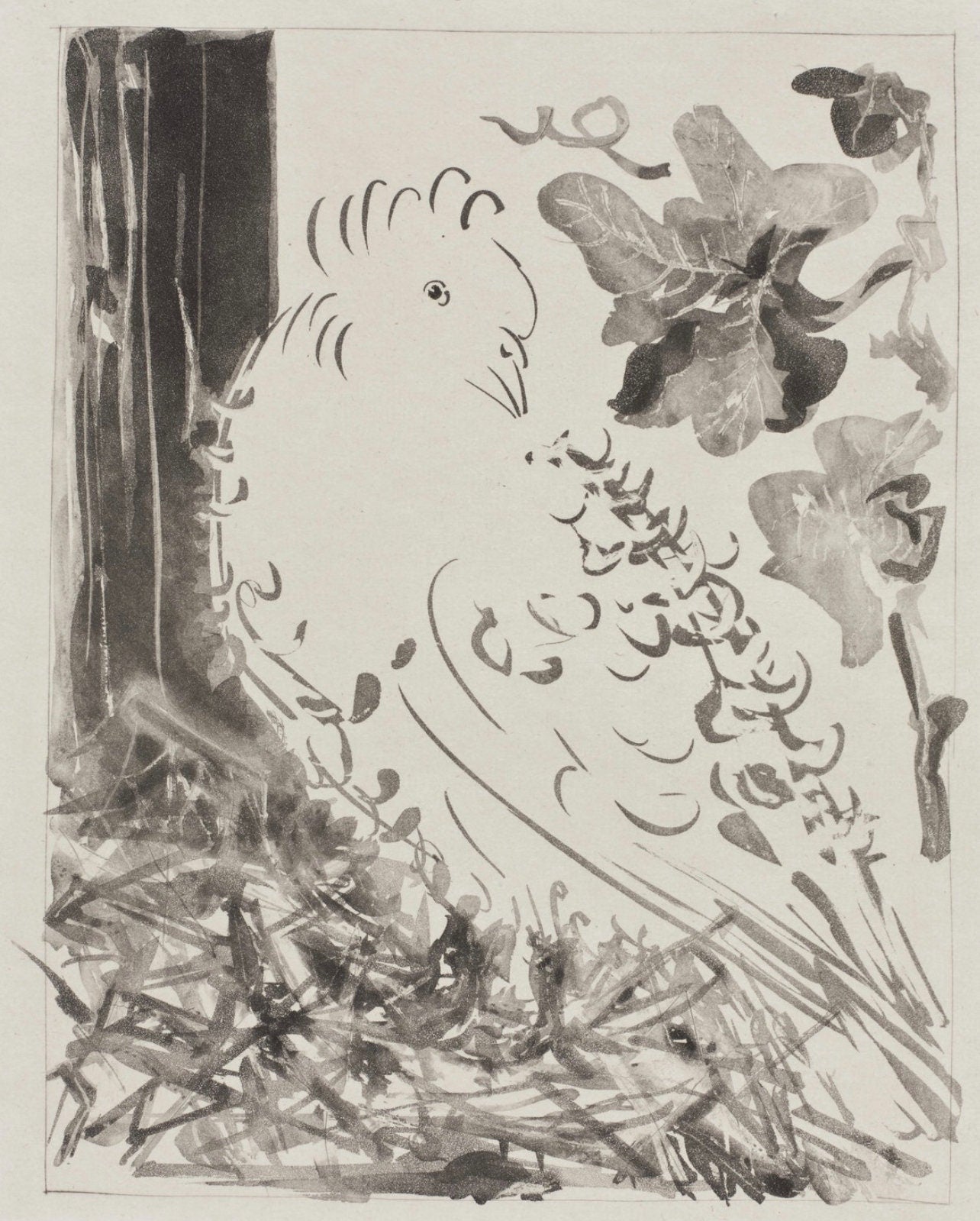 Pablo Picasso, Le Pigeon, Histoire naturelle, Limited Edition Lithograph