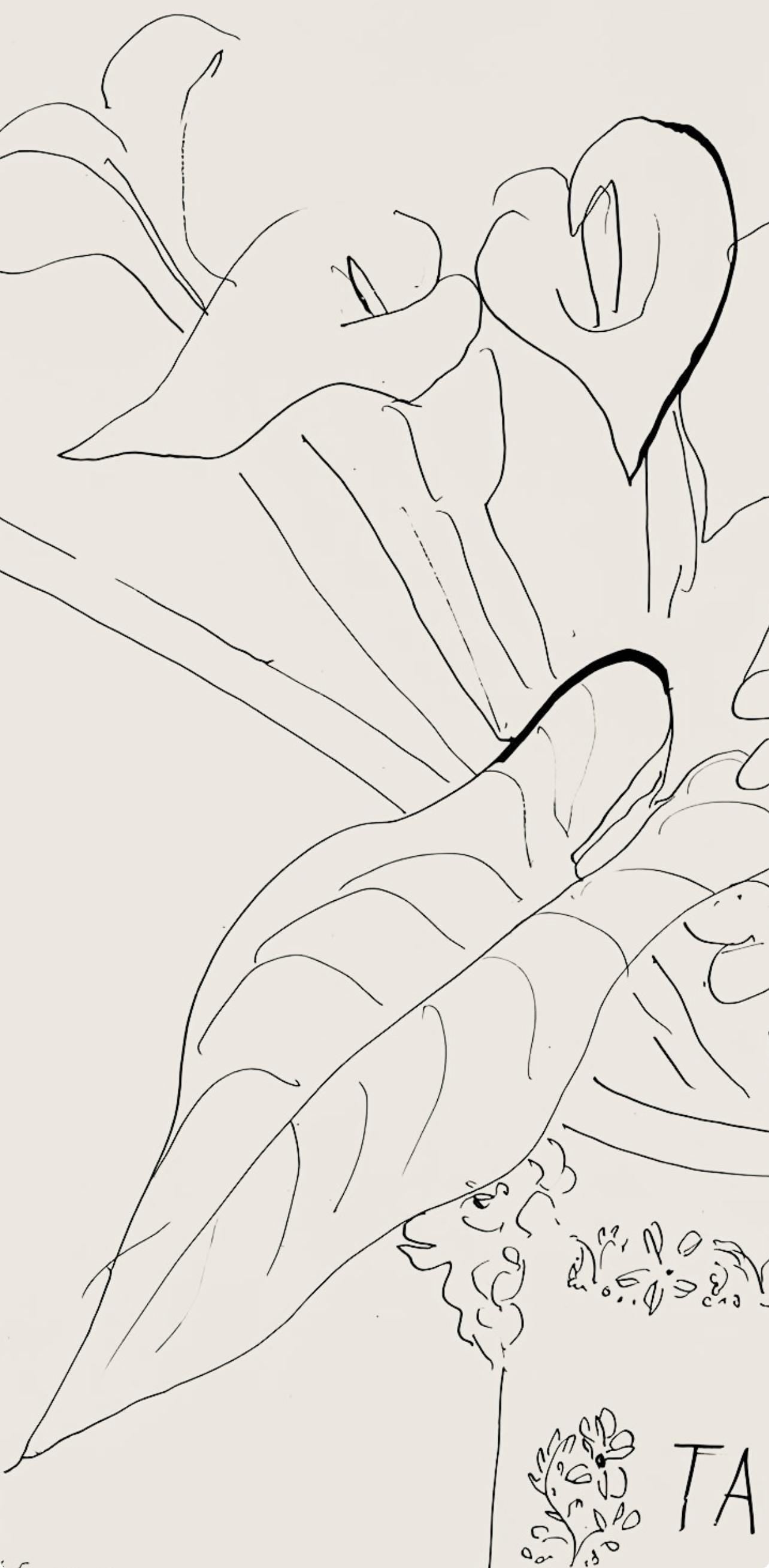 Henri Matisse, Série N Gc'S, var. 5 (Duthuit 9), Henri Matisse, Dessins, Thèmes et variations, Limited Edition Lithograph
