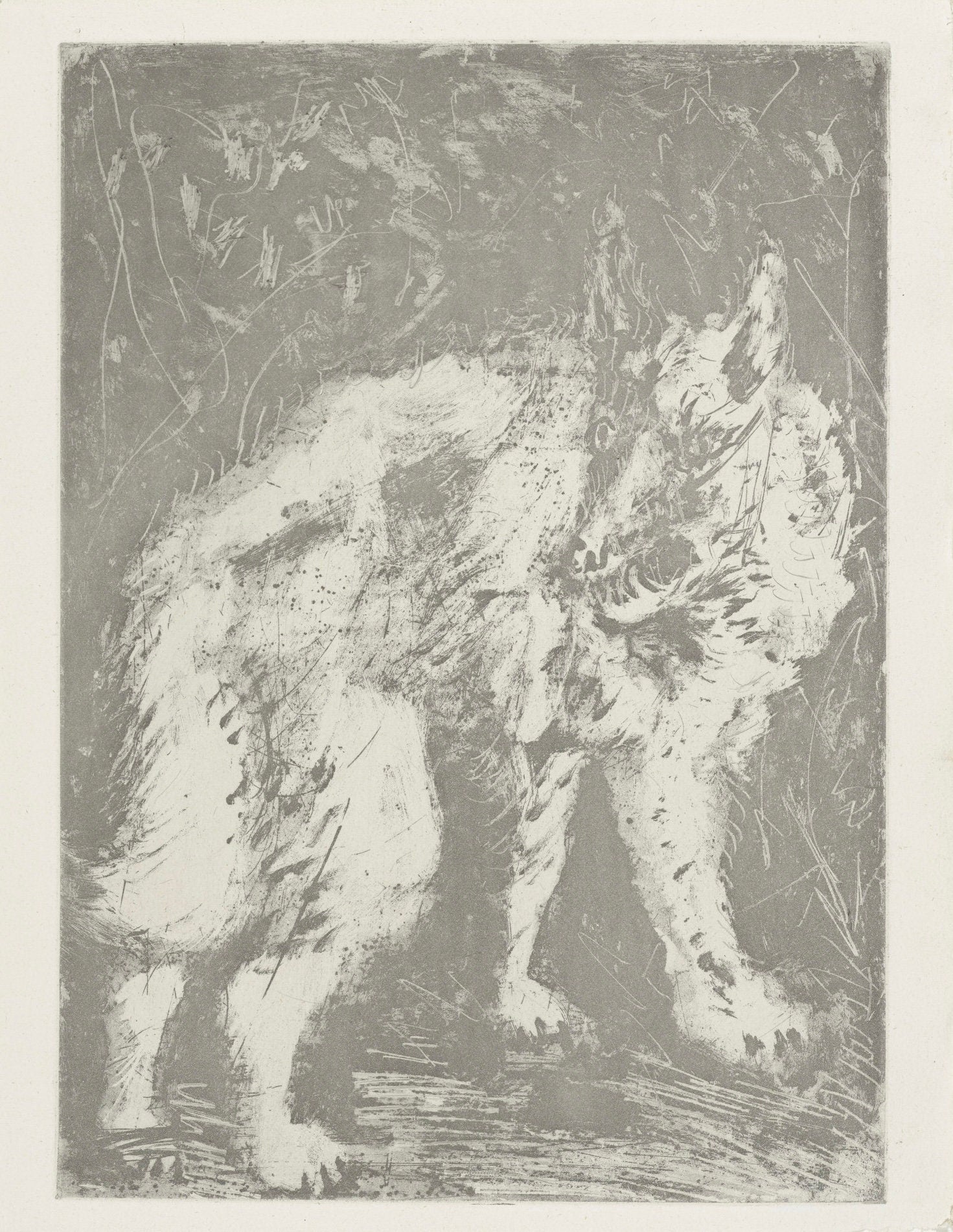 Pablo Picasso, Le Loup, Histoire naturelle, Limited Edition Lithograph