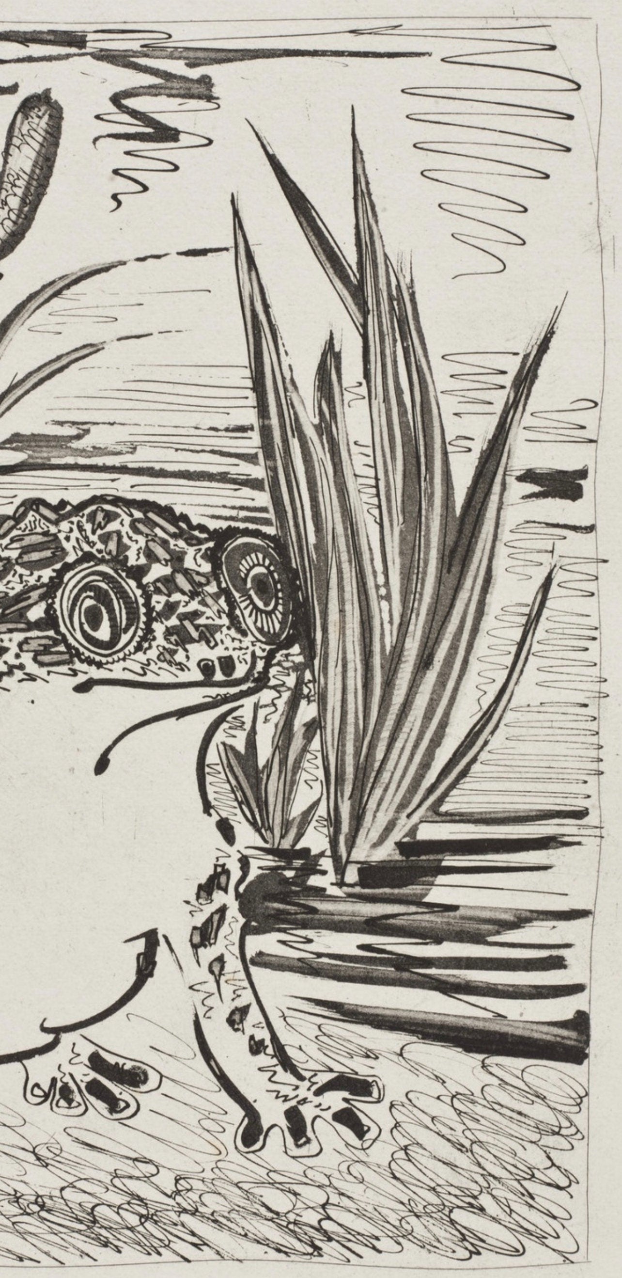 Pablo Picasso, Le Crapaud, Histoire naturelle, Limited Edition Lithograph
