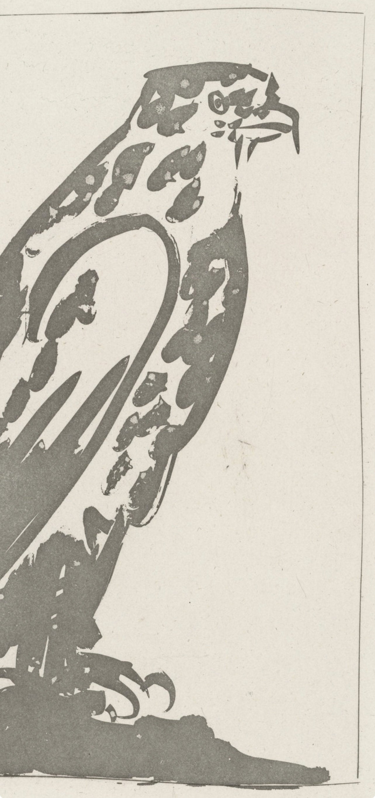 Pablo Picasso, L'Épervier, Histoire naturelle, Limited Edition Lithograph