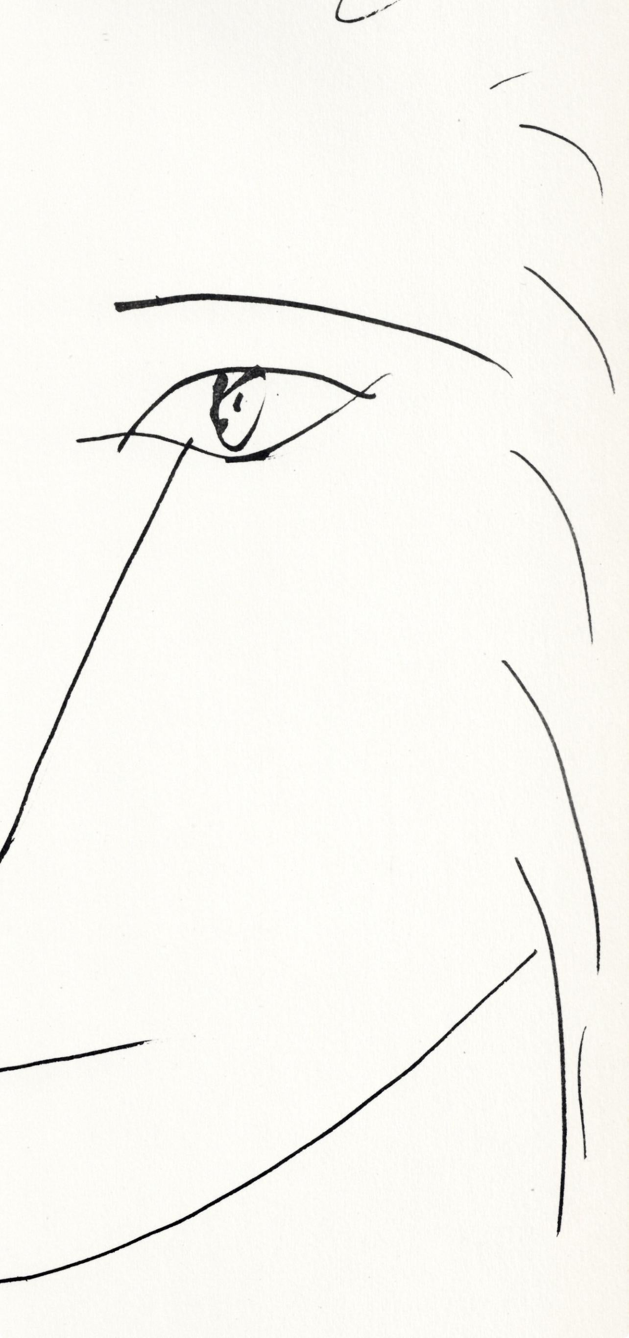 Pablo Picasso, Tête de lion (Cramer No. 84), 40 dessins de Picasso en marge du Buffon, Limited Edition Lithograph
