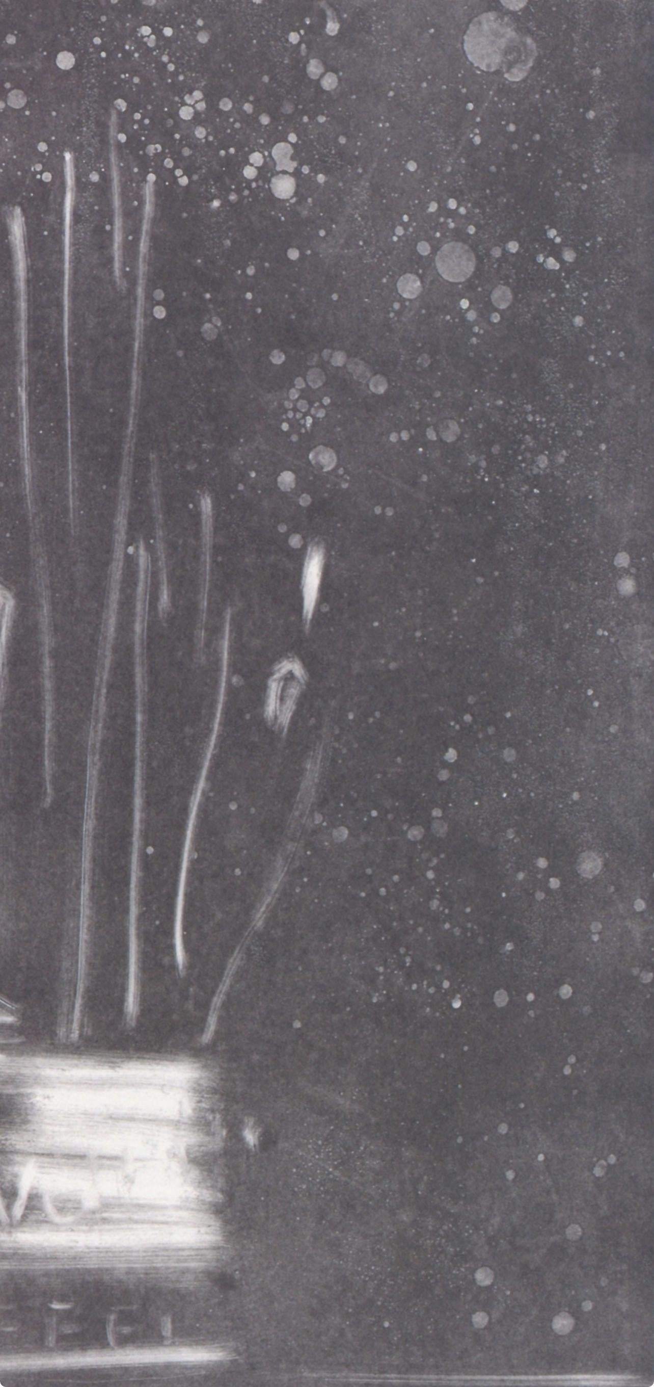Jasper Johns, Composition, Jasper Johns, 17 Monotypes, Limited Edition Héliogravure