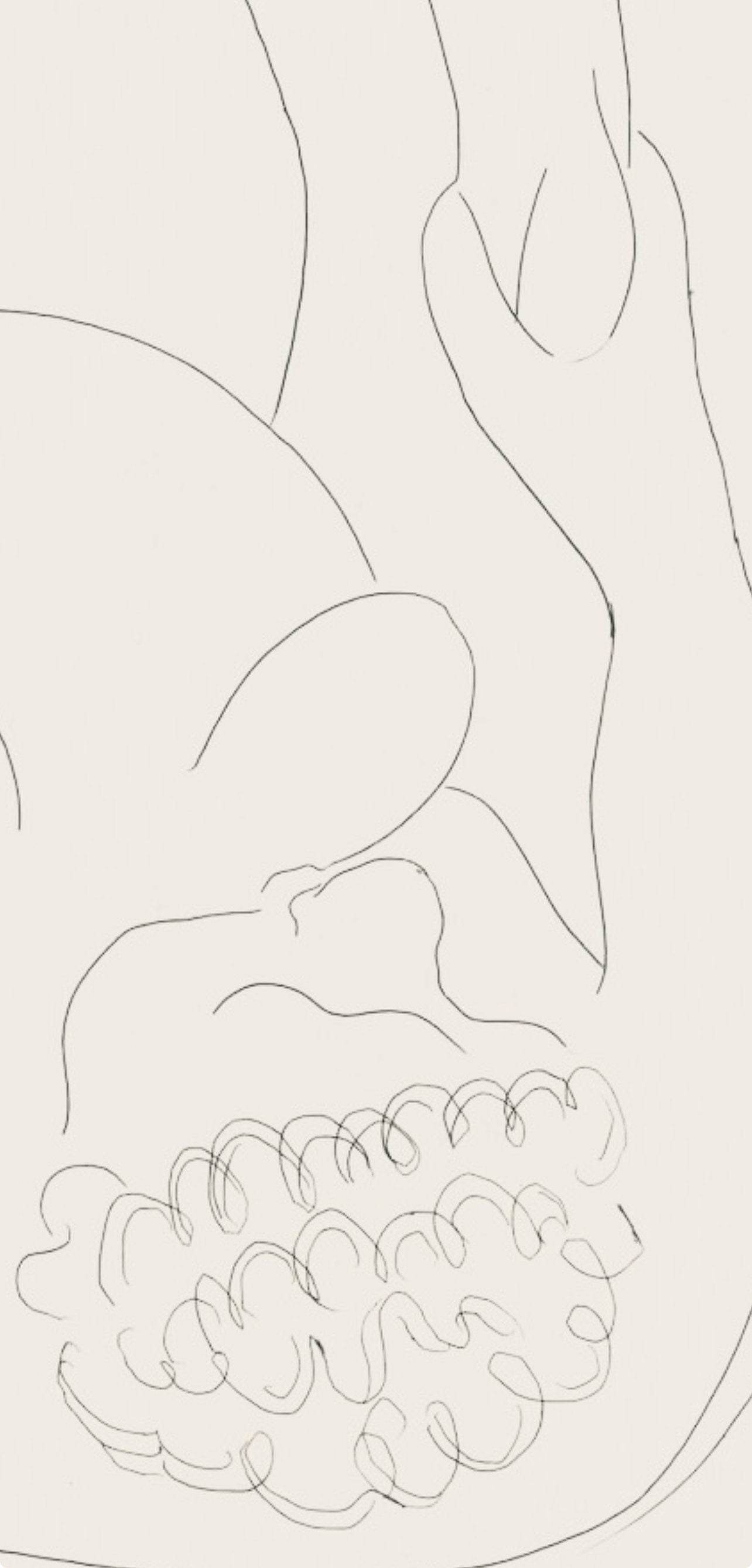 Henri Matisse, Une négresse par le démon..., Poésies, Limited Edition Lithograph