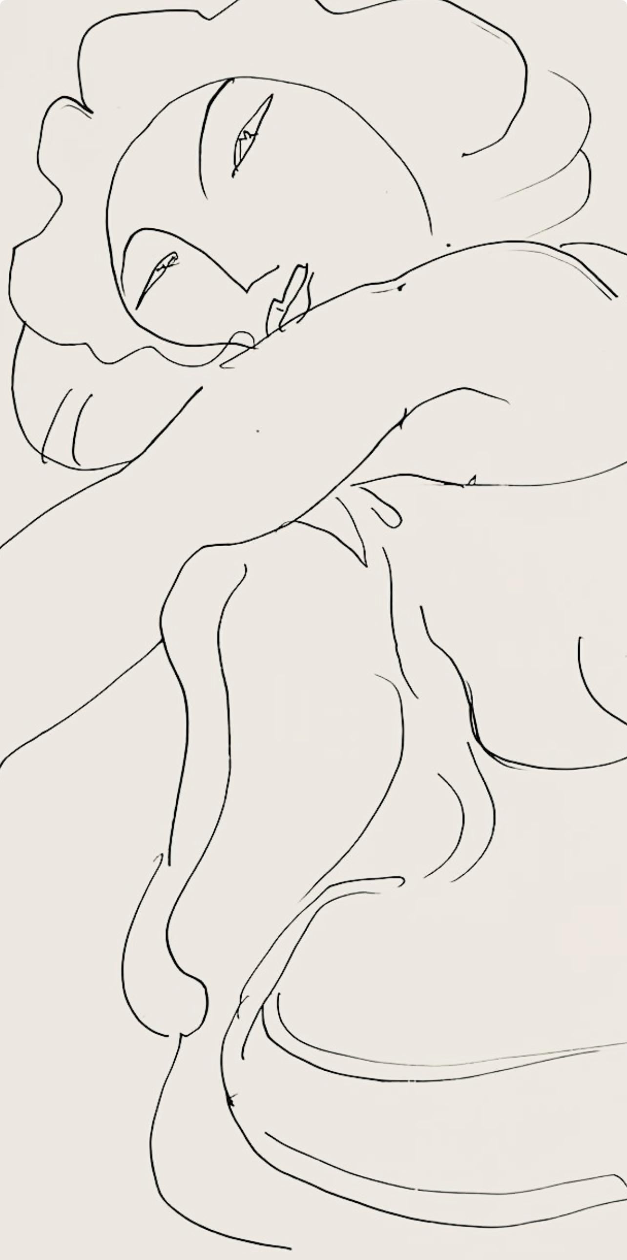 Henri Matisse, Série D, var. 8 (Duthuit 9), Henri Matisse, Dessins, Thèmes et variations, Limited Edition Lithograph