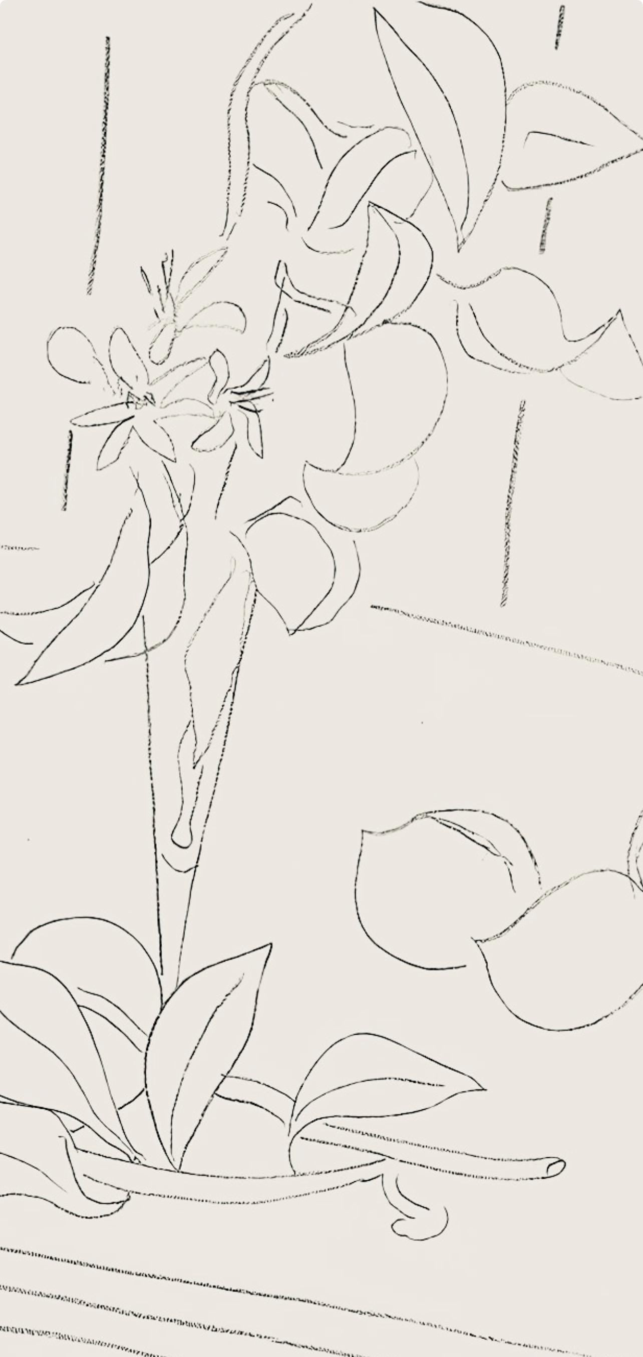 Henri Matisse, Série M, var. 4 (Duthuit 9), Henri Matisse, Dessins, Thèmes et variations, Limited Edition Lithograph