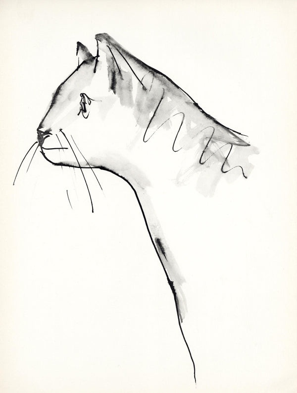 Pablo Picasso, Un chat (Cramer No. 84), 40 dessins de Picasso en marge du Buffon, Limited Edition Lithograph