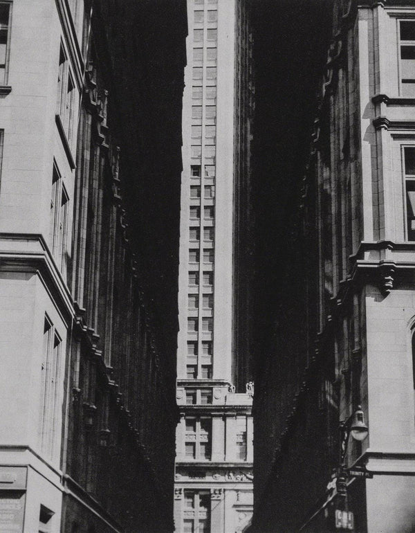 Erwin Blumenfeld, Composition, Erwin Blumenfeld, Electa Editrice Portfolios, Limited Edition Héliogravure