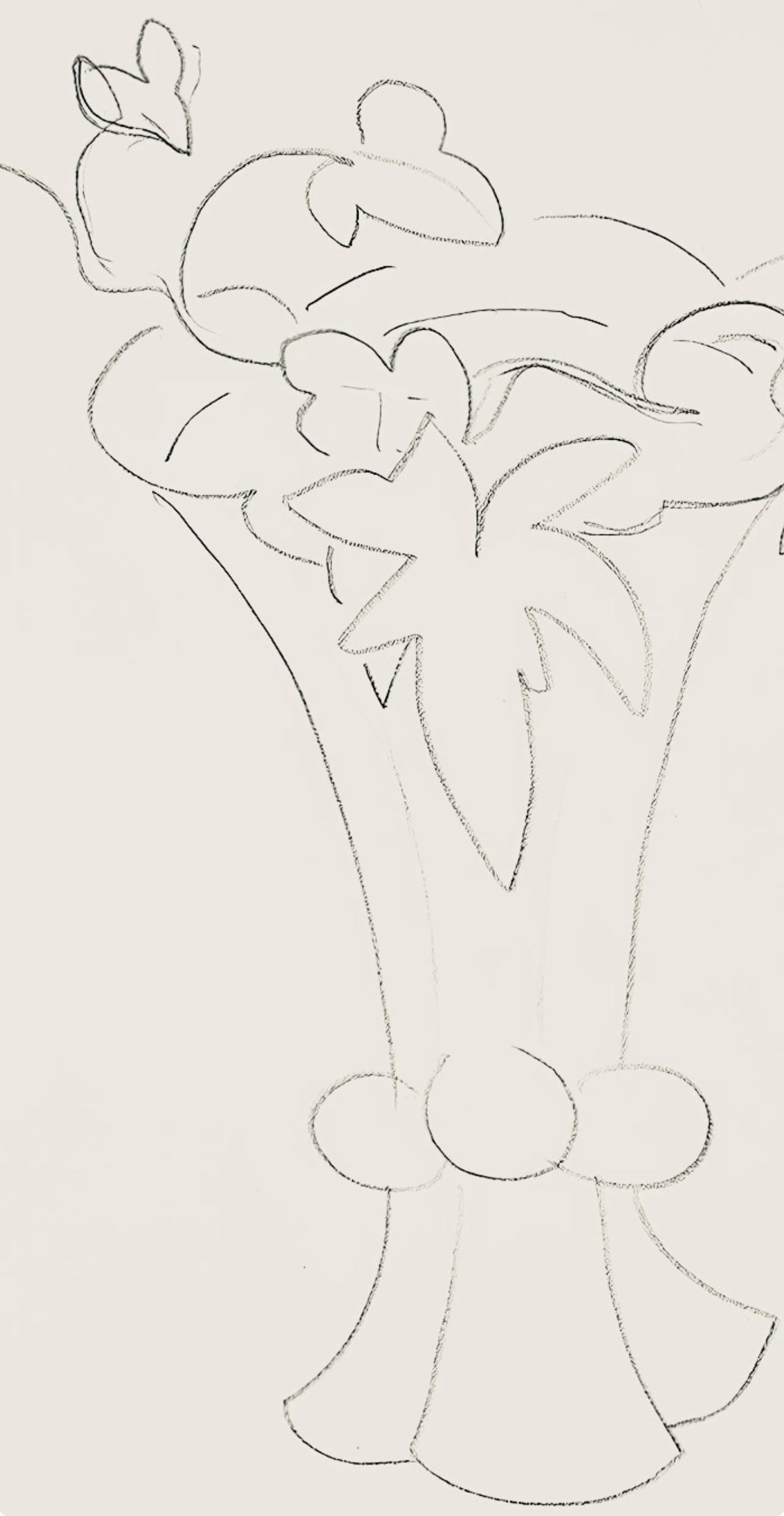 Henri Matisse, Série H, var. 4 (Duthuit 9), Henri Matisse, Dessins, Thèmes et variations, Limited Edition Lithograph