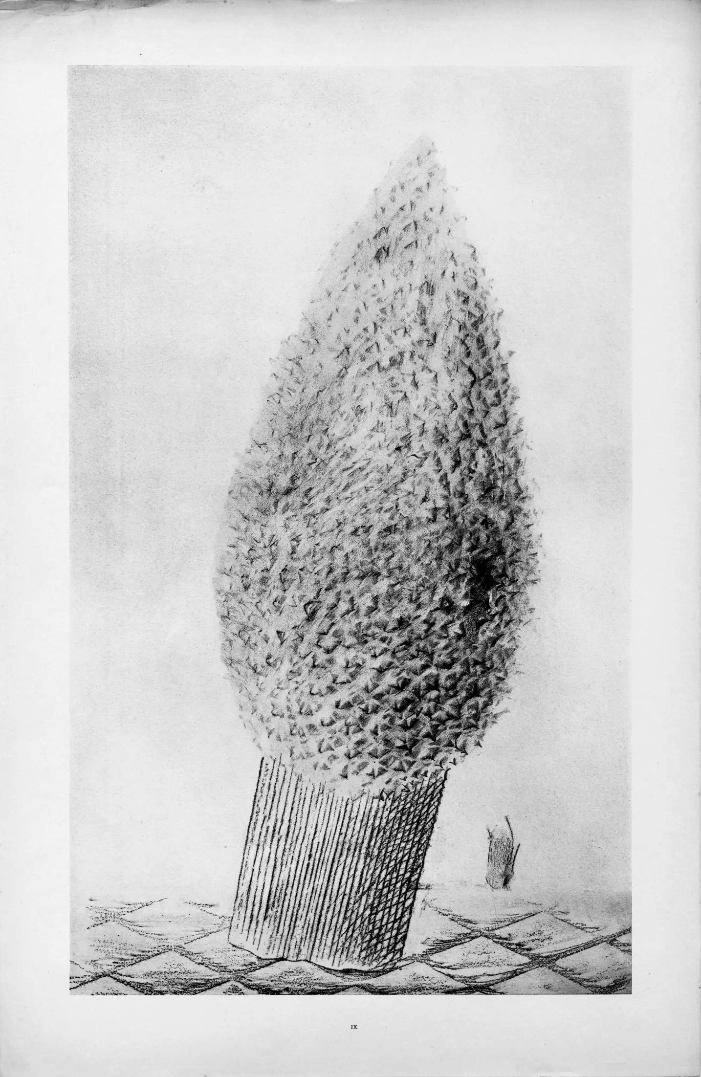 Max Ernst, Composition (Spies/Leppien 222), Histoire Naturelle, Limited Edition Lithograph