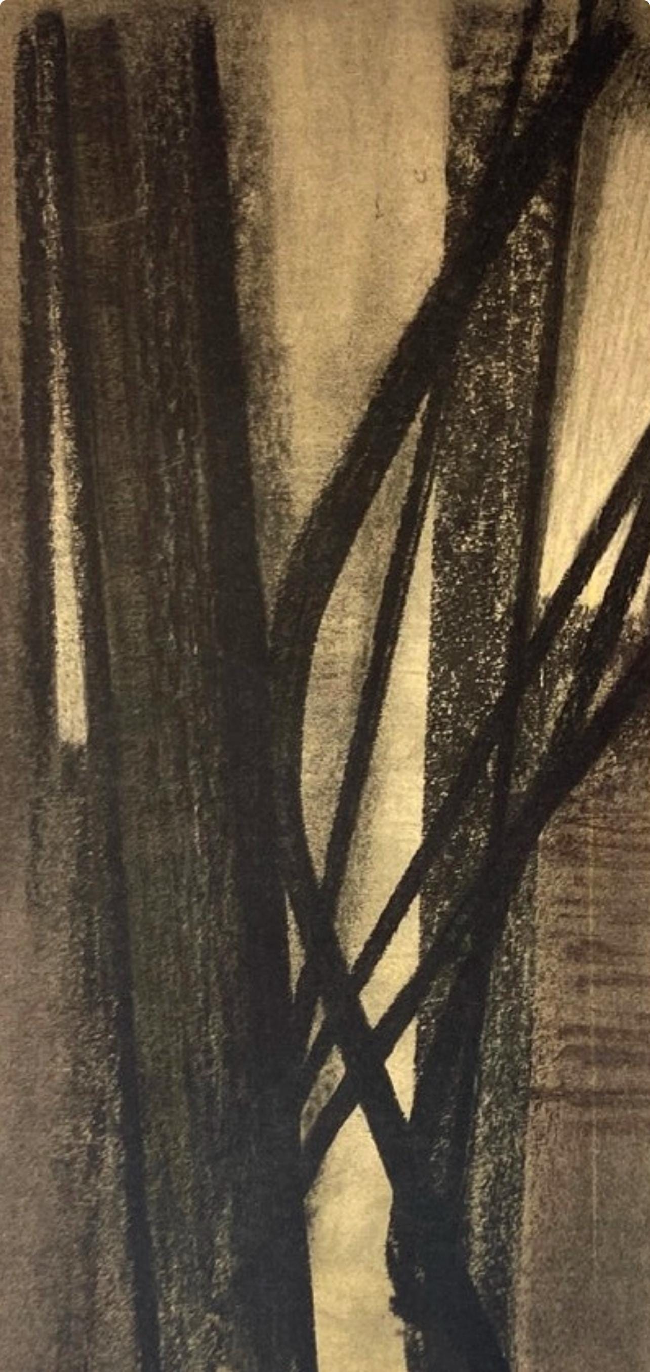 Hans Hartung, Composition, Hans Hartung, Peintres d'aujourd'hui, Limited Edition Lithograph