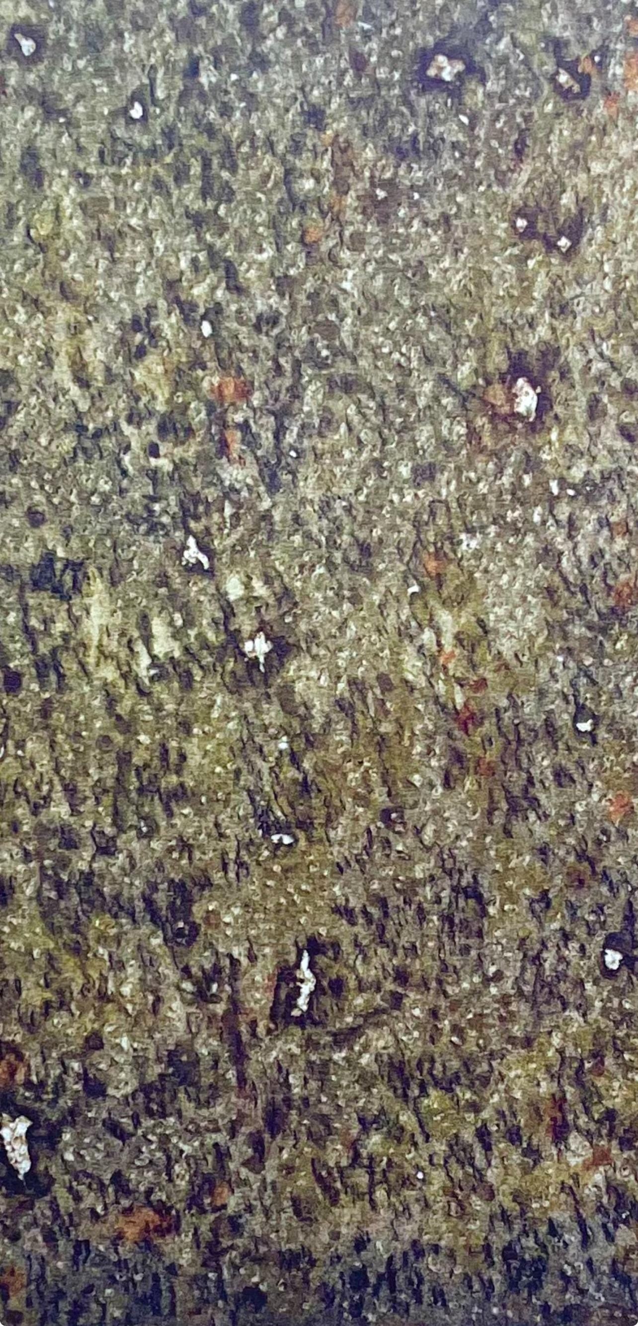Mark Tobey, Composition, Mark Tobey, Peintres d'aujourd'hui, Limited Edition Lithograph