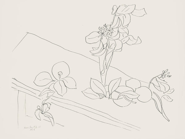 Henri Matisse, Série M, var. 2 (Duthuit 9), Henri Matisse, Dessins, Thèmes et variations, Limited Edition Lithograph