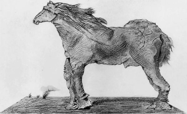 Max Ernst, Composition (Spies/Leppien 222), Histoire Naturelle, Limited Edition Lithograph