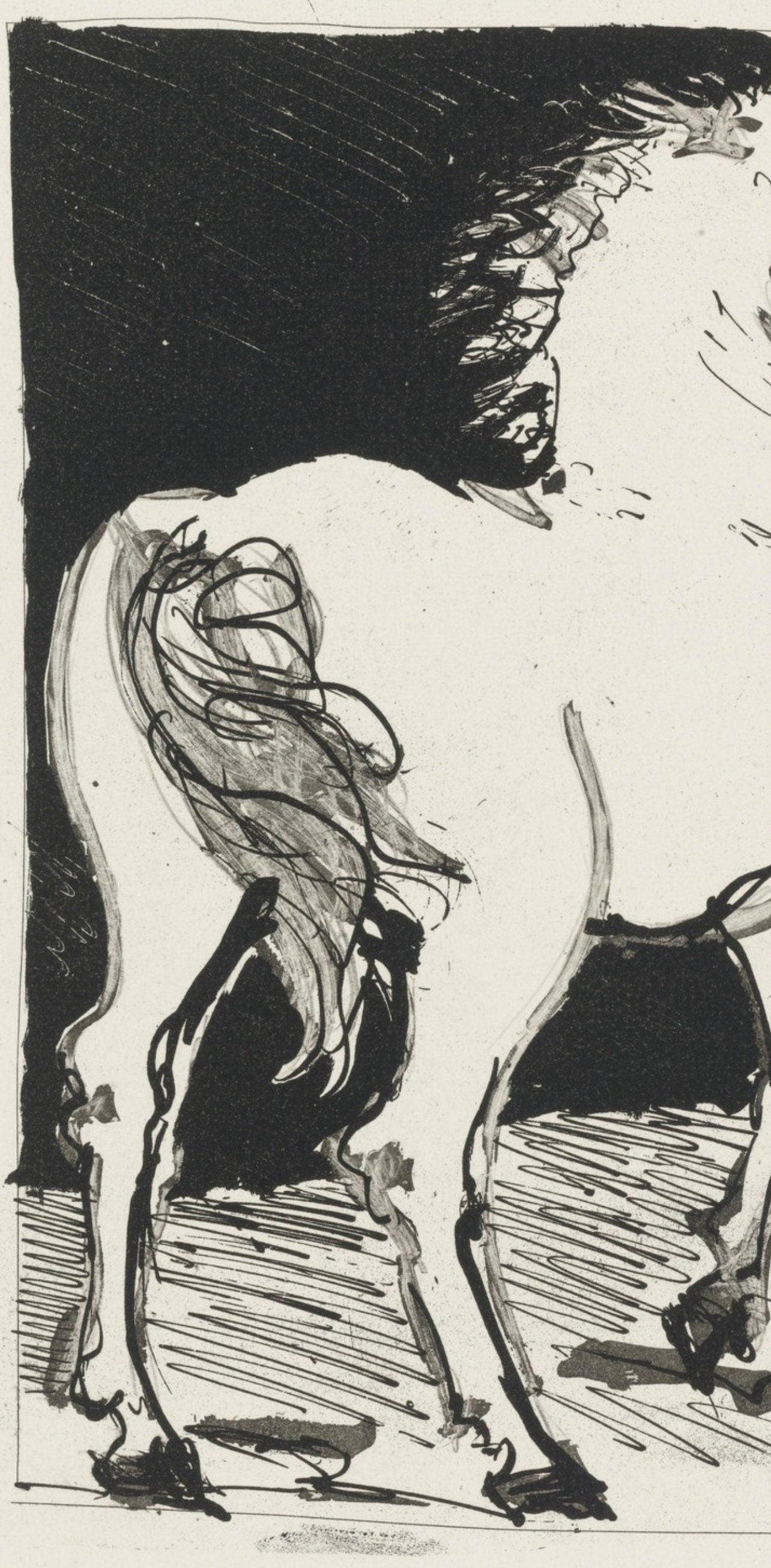 Pablo Picasso, Le Cheval, Histoire naturelle, Limited Edition Lithograph