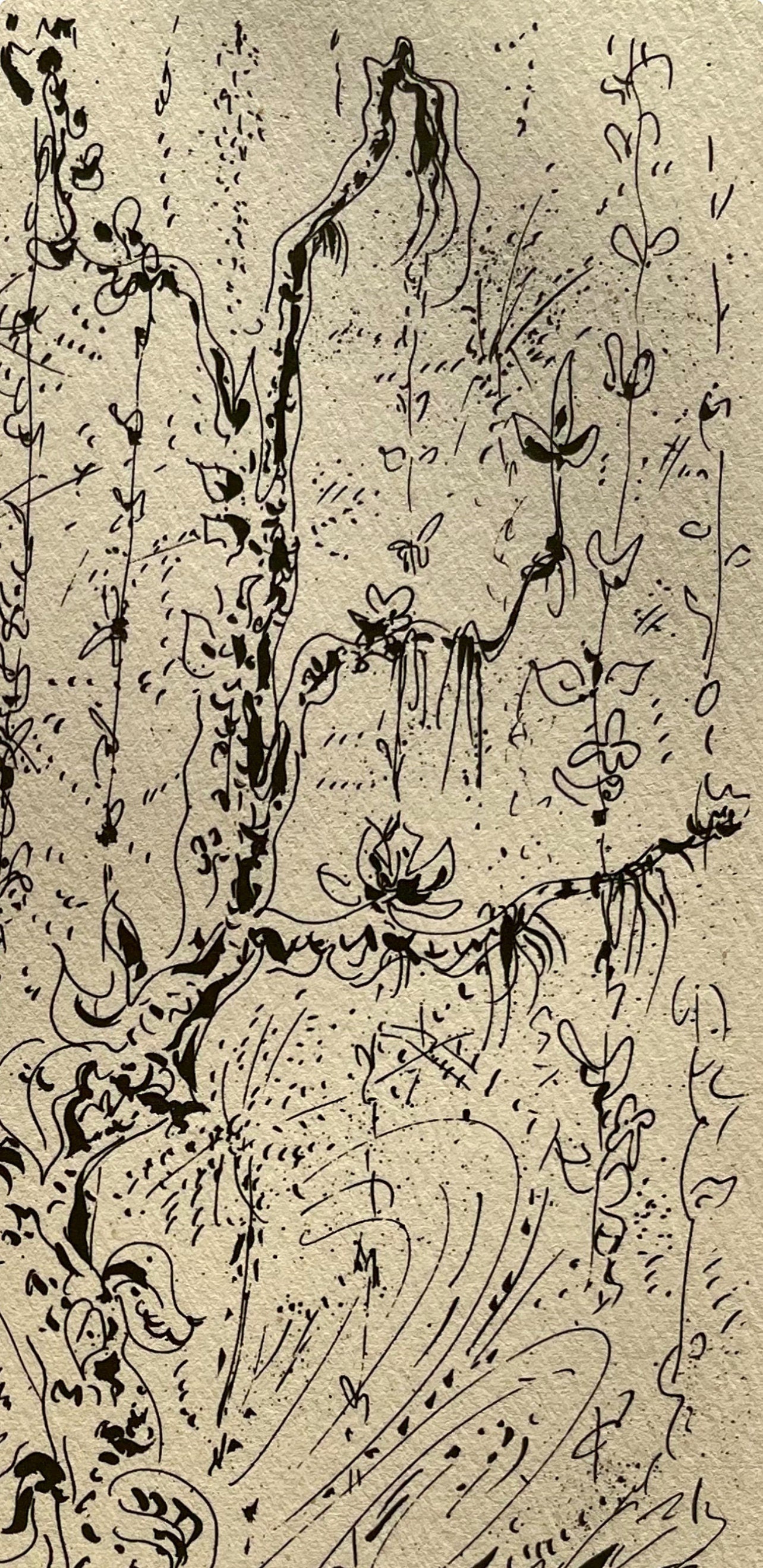 André Masson, Forêt martiniquaise, Masson Dessins, Limited Edition Lithograph