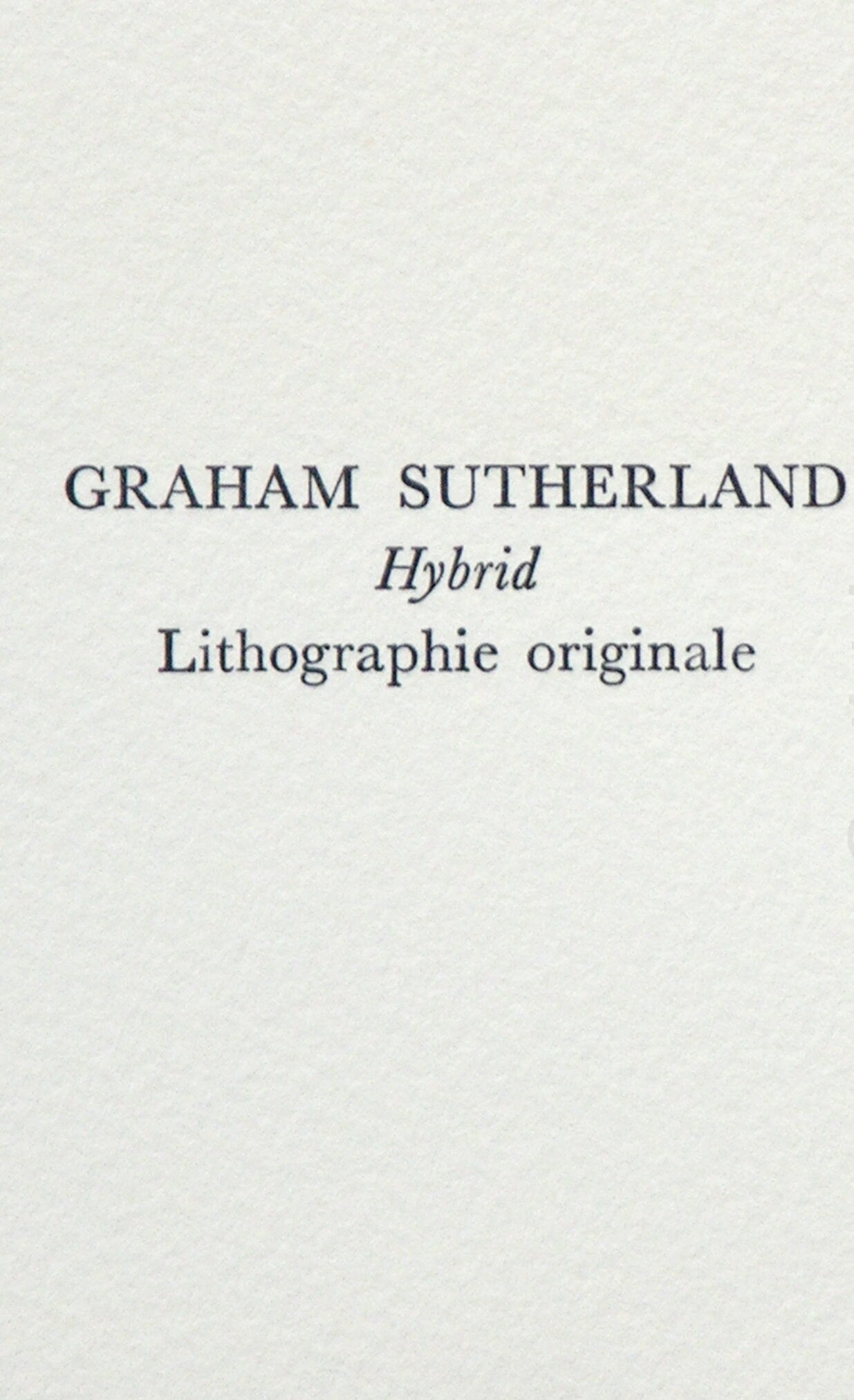 Graham Sutherland, Hybrid, Souvenirs et portraits d'artistes, Limited Edition Lithograph