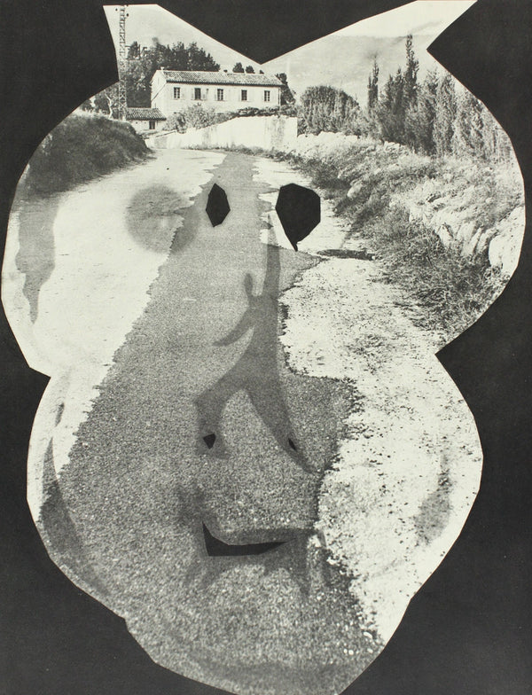 Pablo Picasso, Composition (Bloch 112; Kibbey 1466; Goeppert 115), Diurnes Découpages et Photographies, Limited Edition Phototype