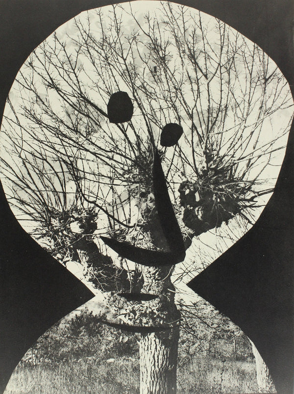 Pablo Picasso, Composition (Bloch 112; Kibbey 1466; Goeppert 115), Diurnes Découpages et Photographies, Limited Edition Phototype