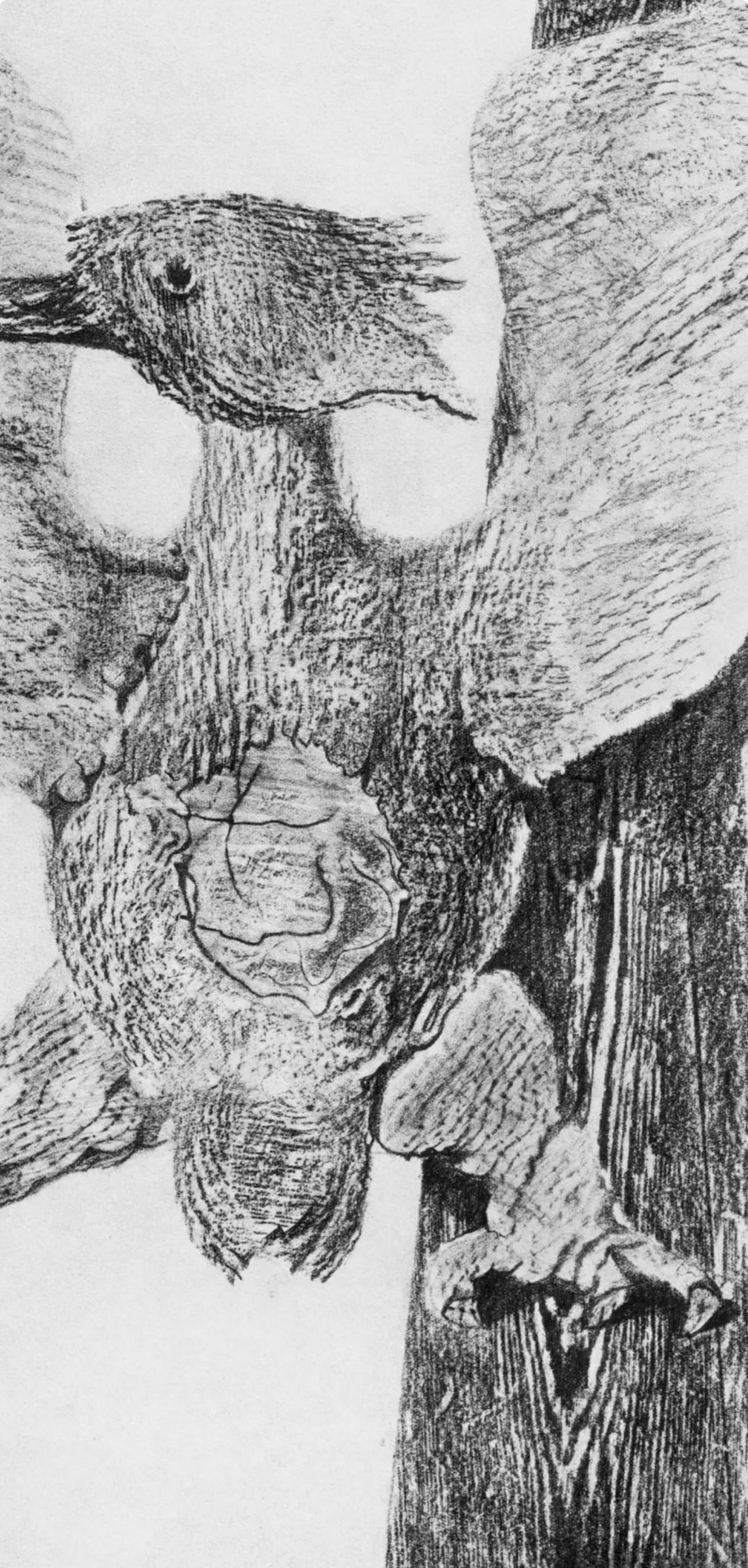 Max Ernst, Composition (Spies/Leppien 222), Histoire Naturelle, Limited Edition Lithograph