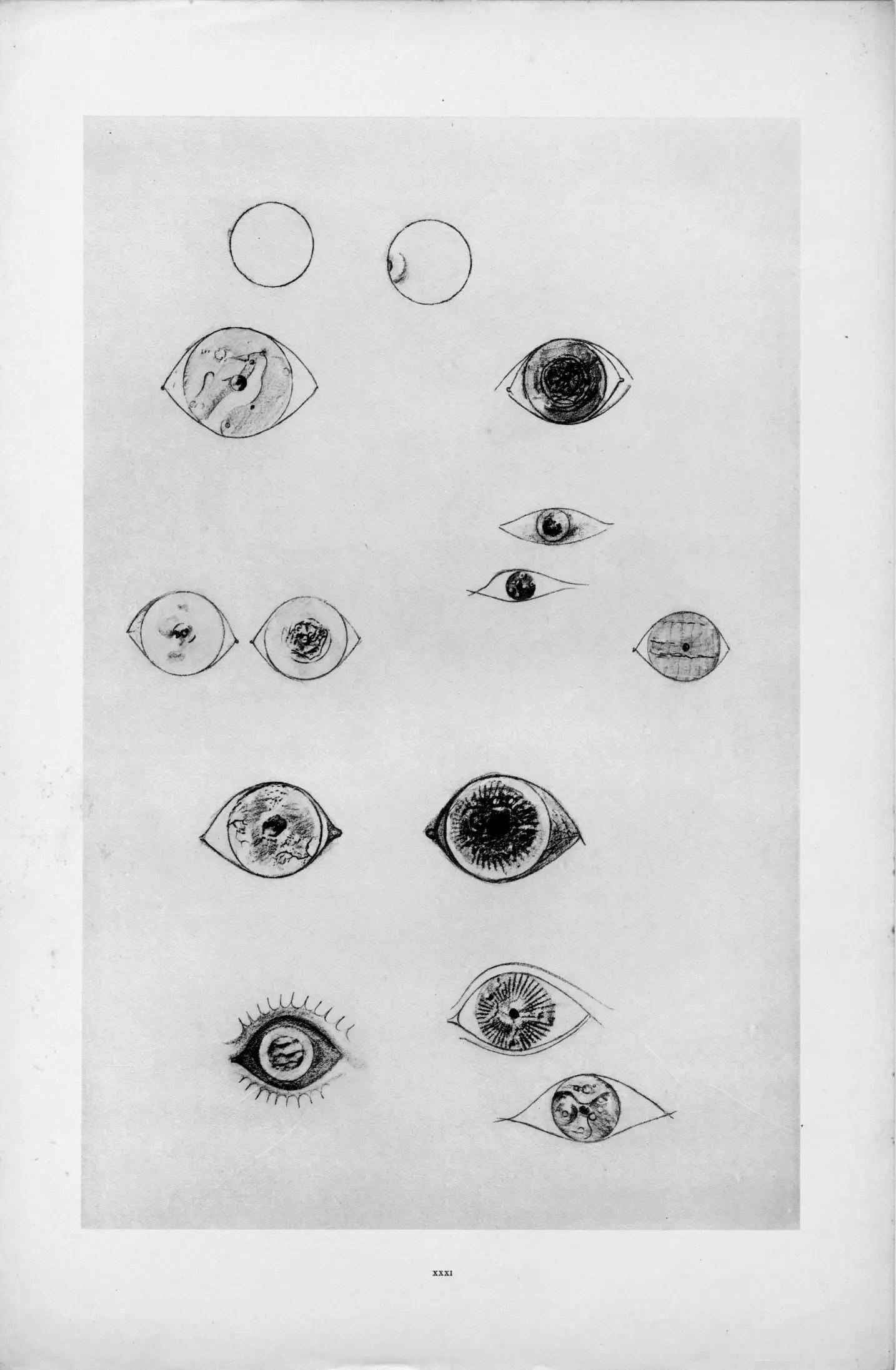 Max Ernst, Composition (Spies/Leppien 222), Histoire Naturelle, Limited Edition Lithograph