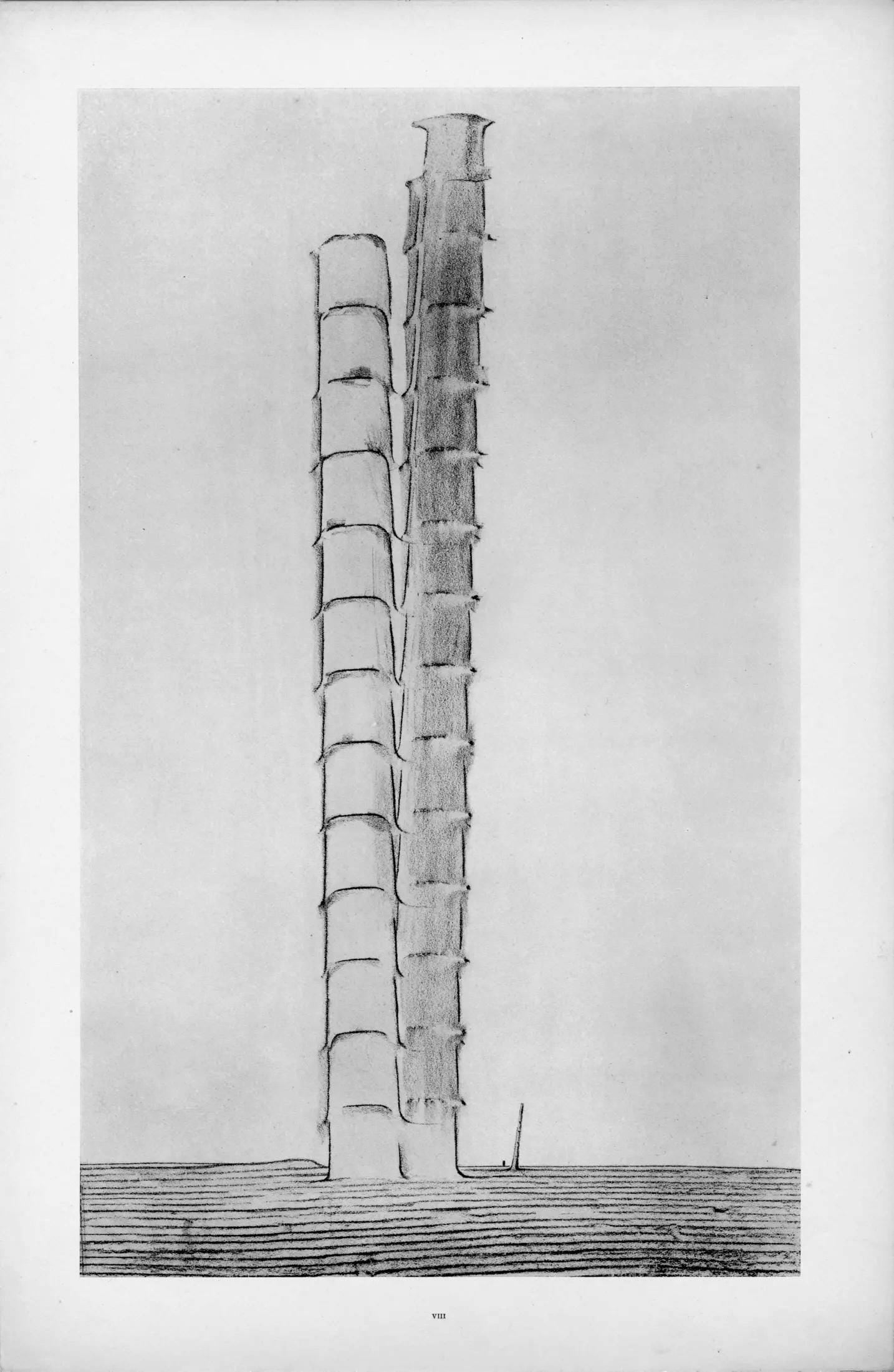 Max Ernst, Composition (Spies/Leppien 222), Histoire Naturelle, Limited Edition Lithograph