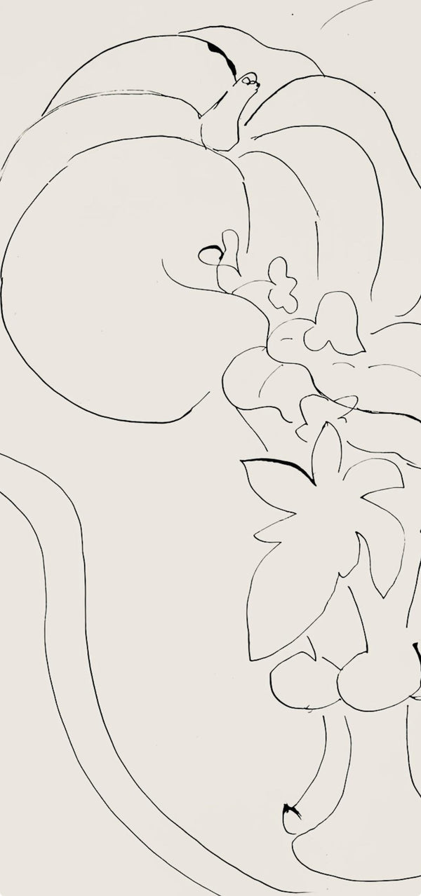 Henri Matisse, Série H, var. 6 (Duthuit 9), Henri Matisse, Dessins, Thèmes et variations, Limited Edition Lithograph